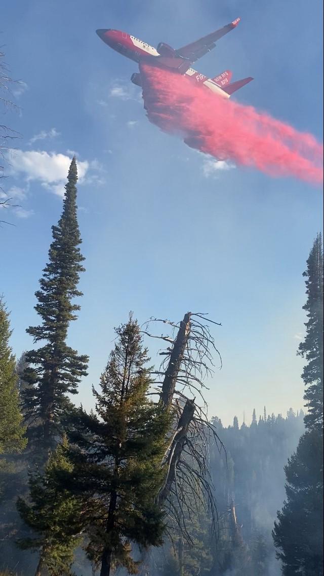 Air tanker dropping retardant on Sawtell Peak Fire 8.31.2022