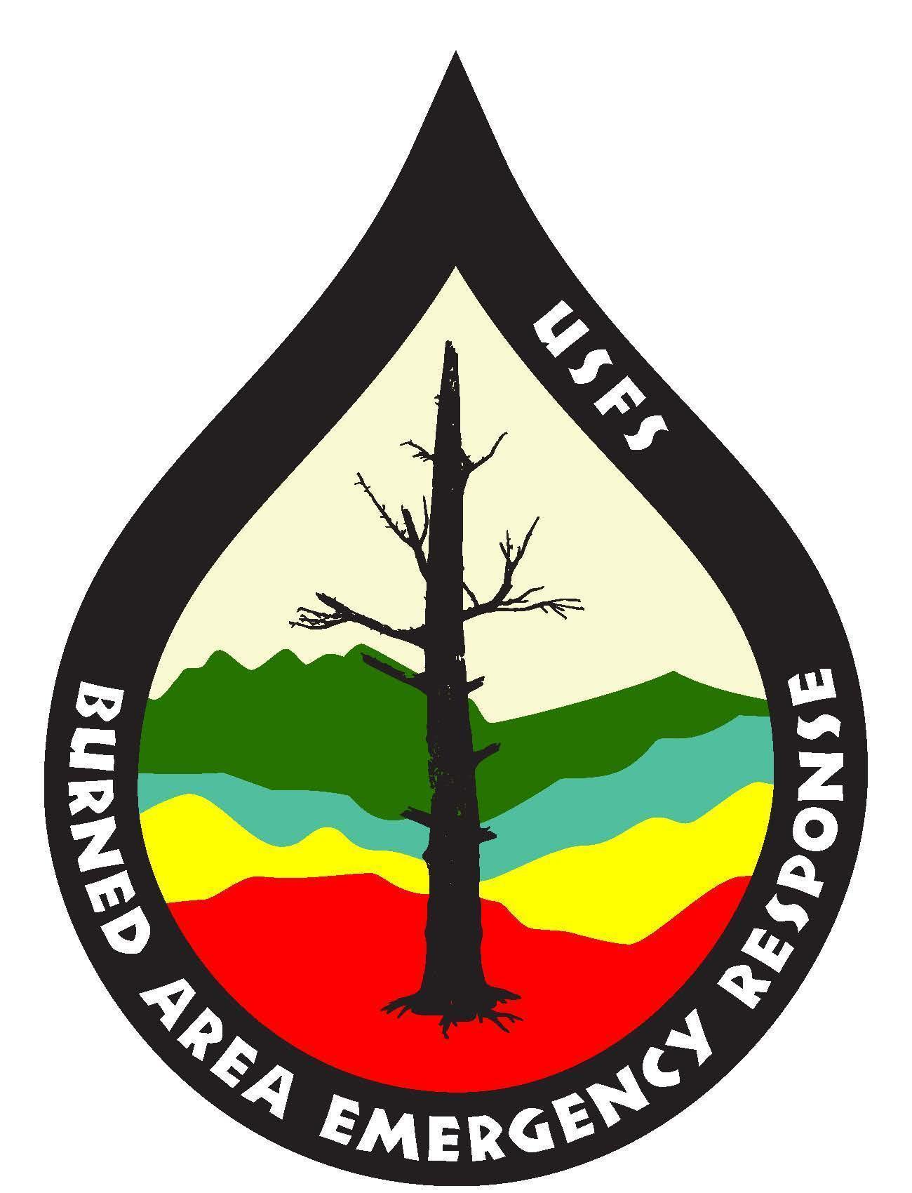 Image of the Forest Service Burned Area Emergency Response (BAER) Logo