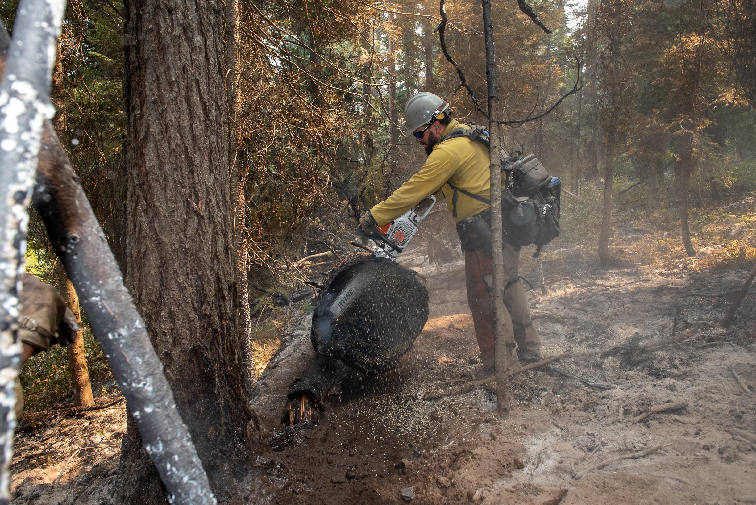 Cutting Away Sections of a Burning Tree