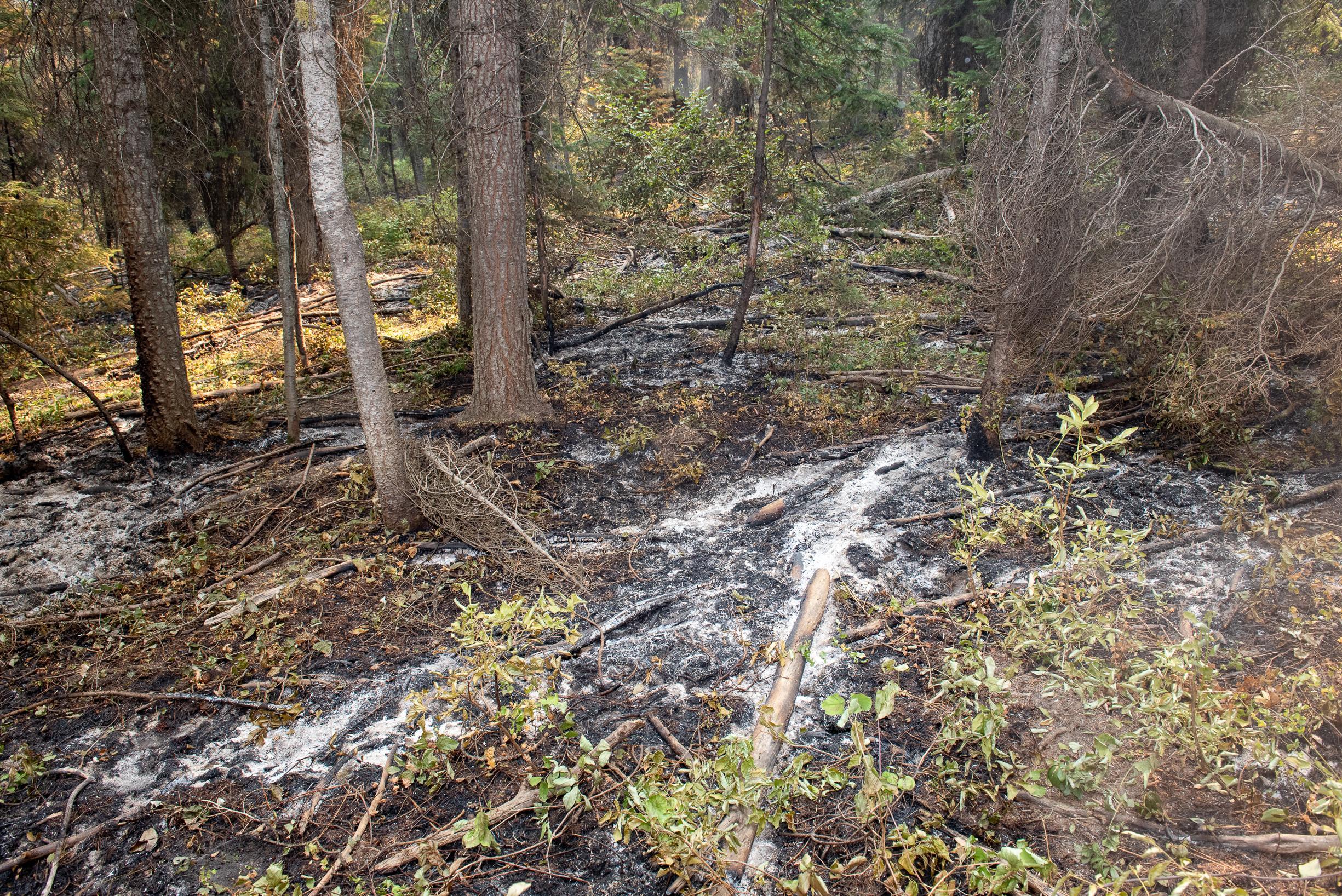 Spot Fires Cause Patchy Burn Patterns