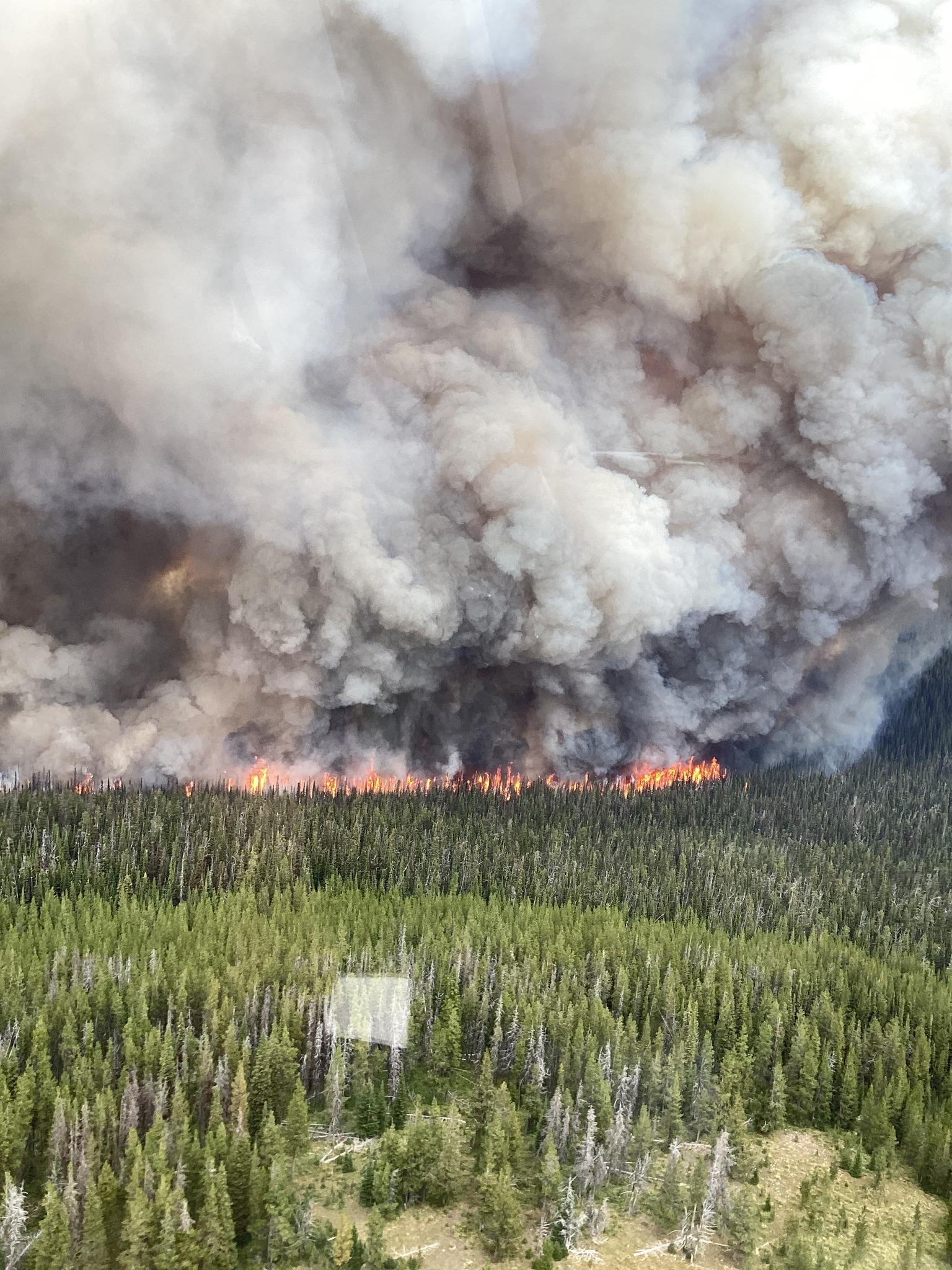 An ominous wall of grey and white smoke fills the air in the distance due to a wildfire in the forest