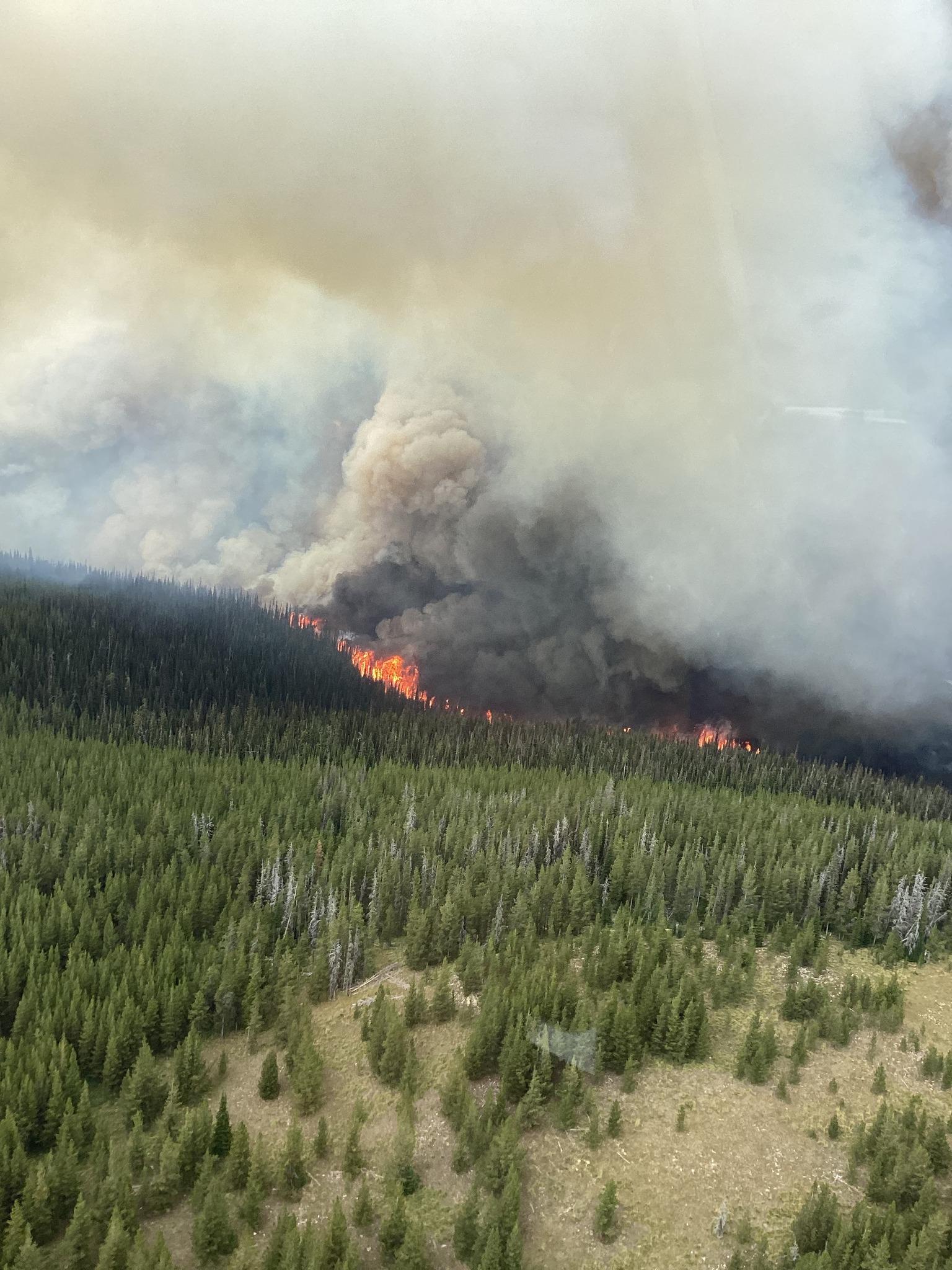 Wildfire flames can be seen among smoke in the distance as a wildfire burns in the forest