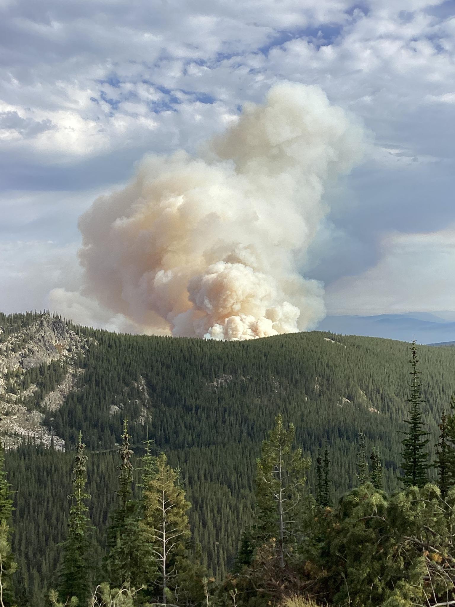 A large column of white smoke rising above a green forest in the mountains