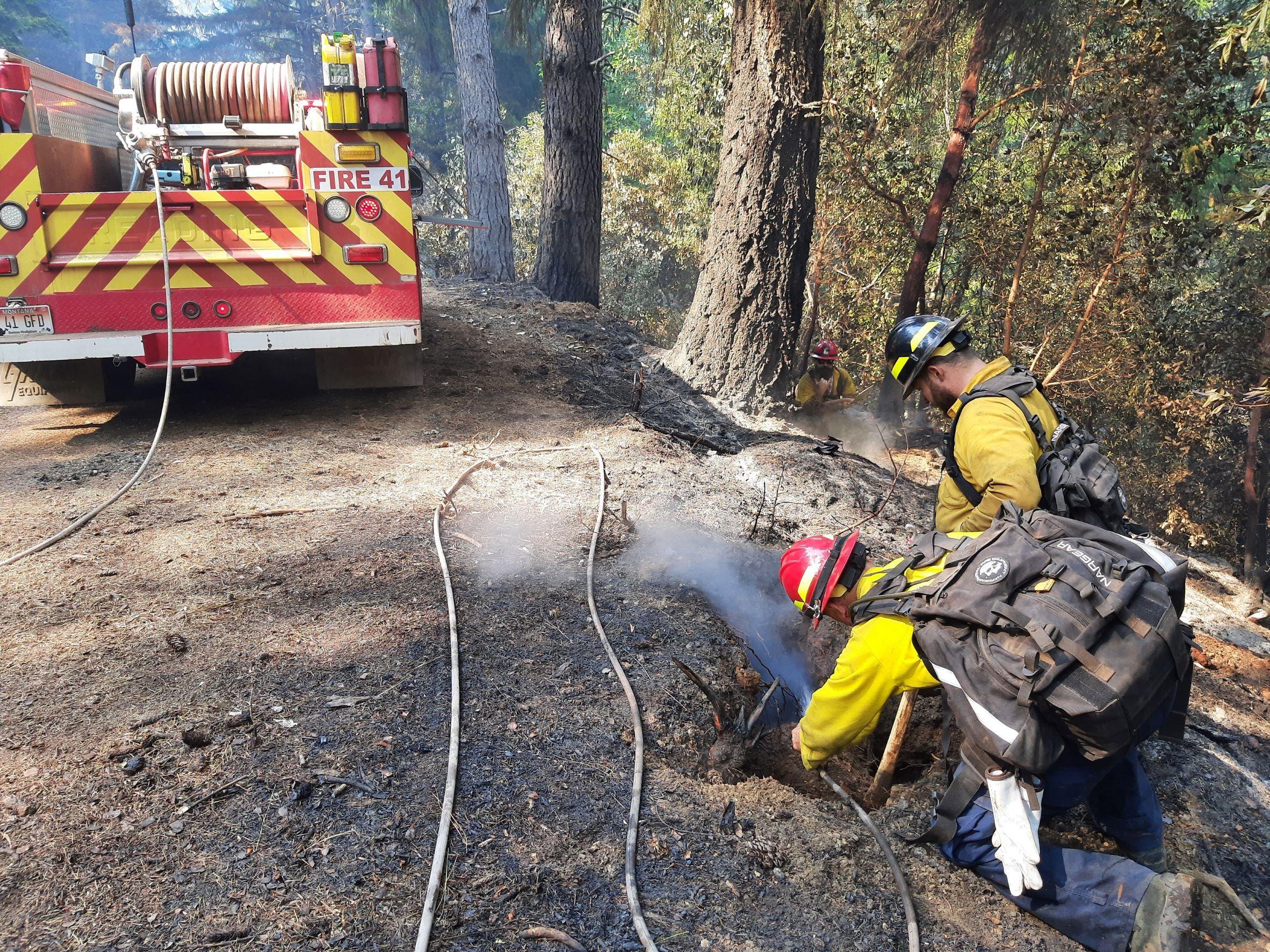 Two firefighters are working to extinguish heat in a stump hole. One is kneeling by the hole with a hose aimed into a hole from a side root, creating a cloud of smoke and steam. The other has a tool, waiting to dig. An engine sits in the background.