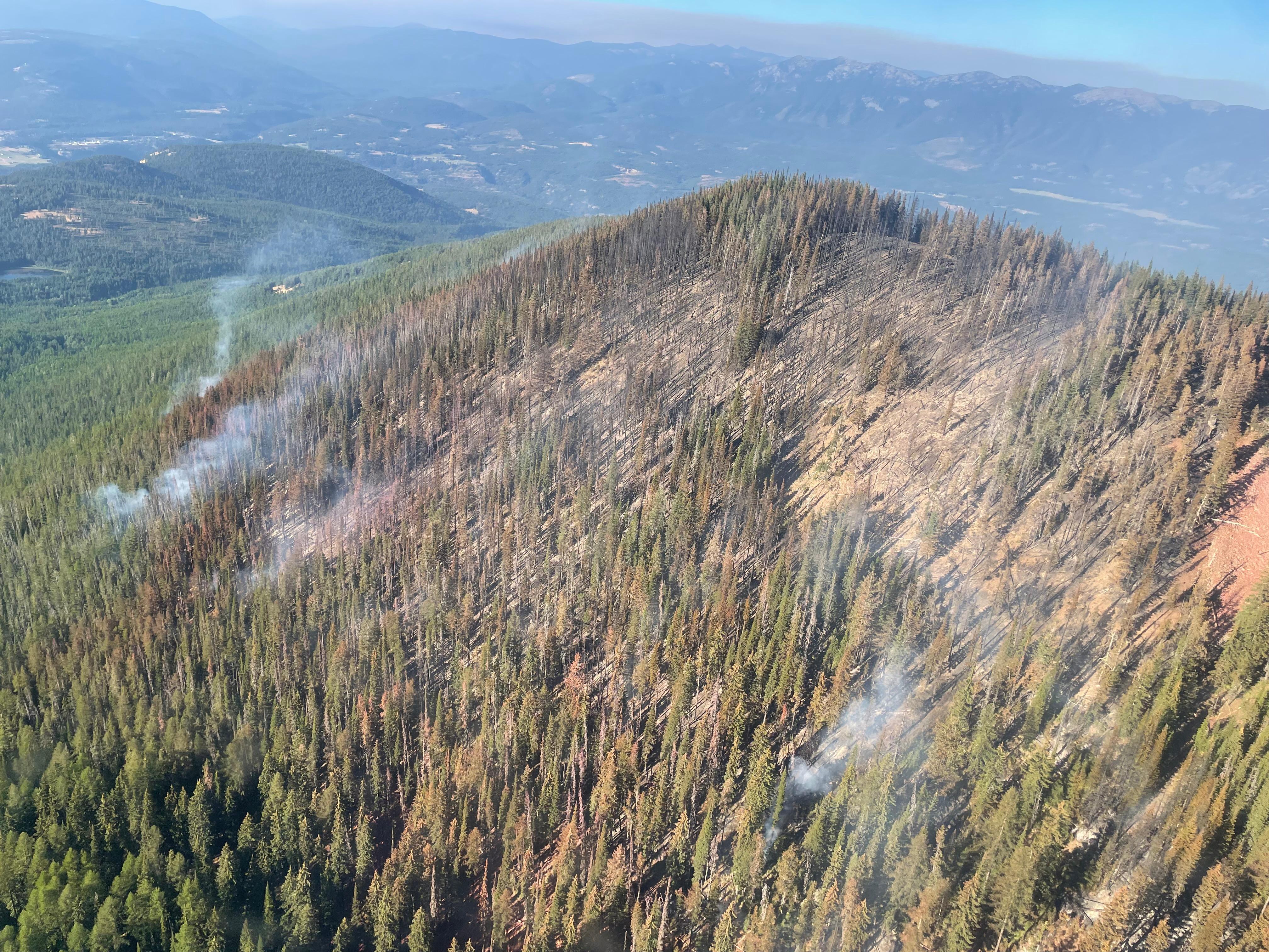 Aerial View of Katka Fire - Kootenai River Complex. View from the helicopter looking at Katka Peak with red fire retardant below fire. Peak has a few open areas near ridge with burned trees.  