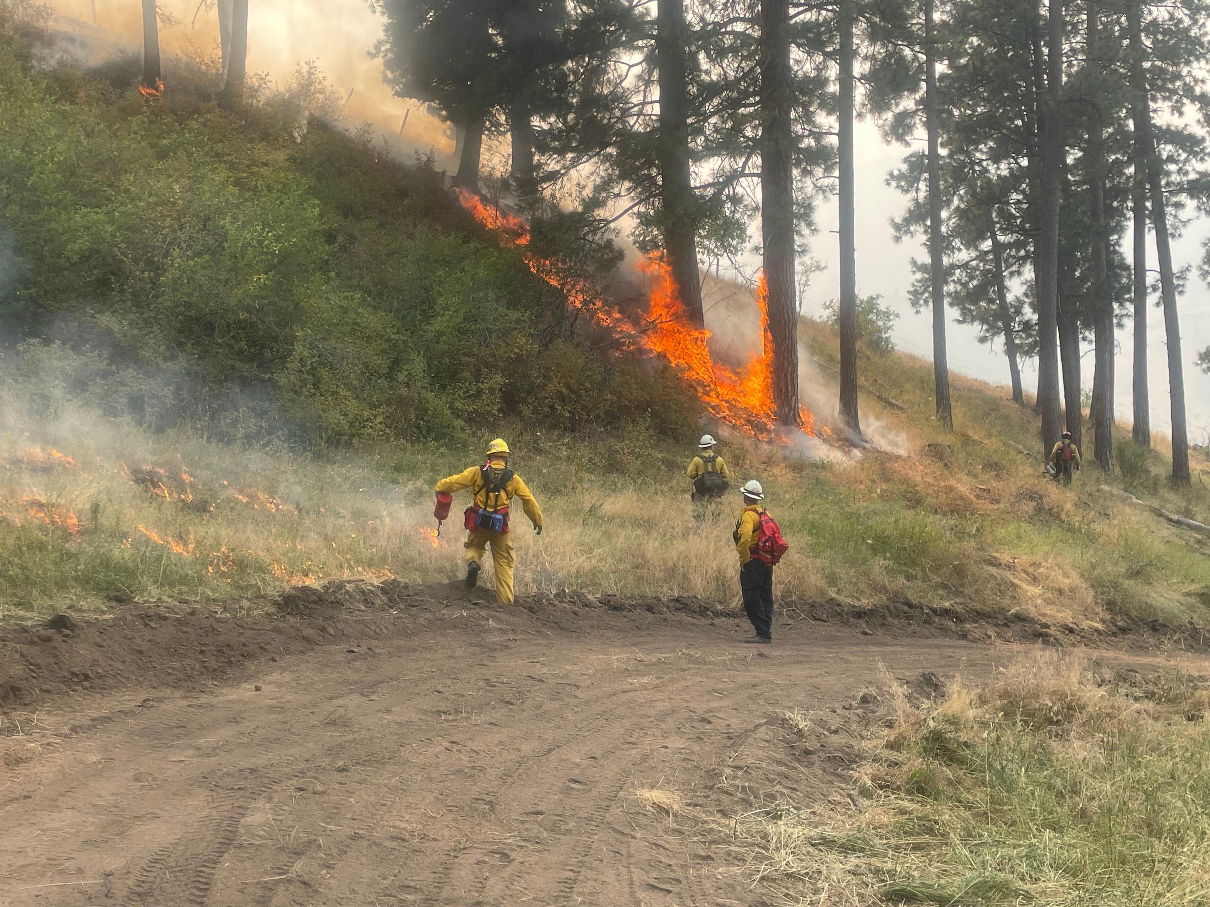Burn out operations on Double Creek Fire 9/4/22. Photo provided by Pacific Northwest 2 IMT