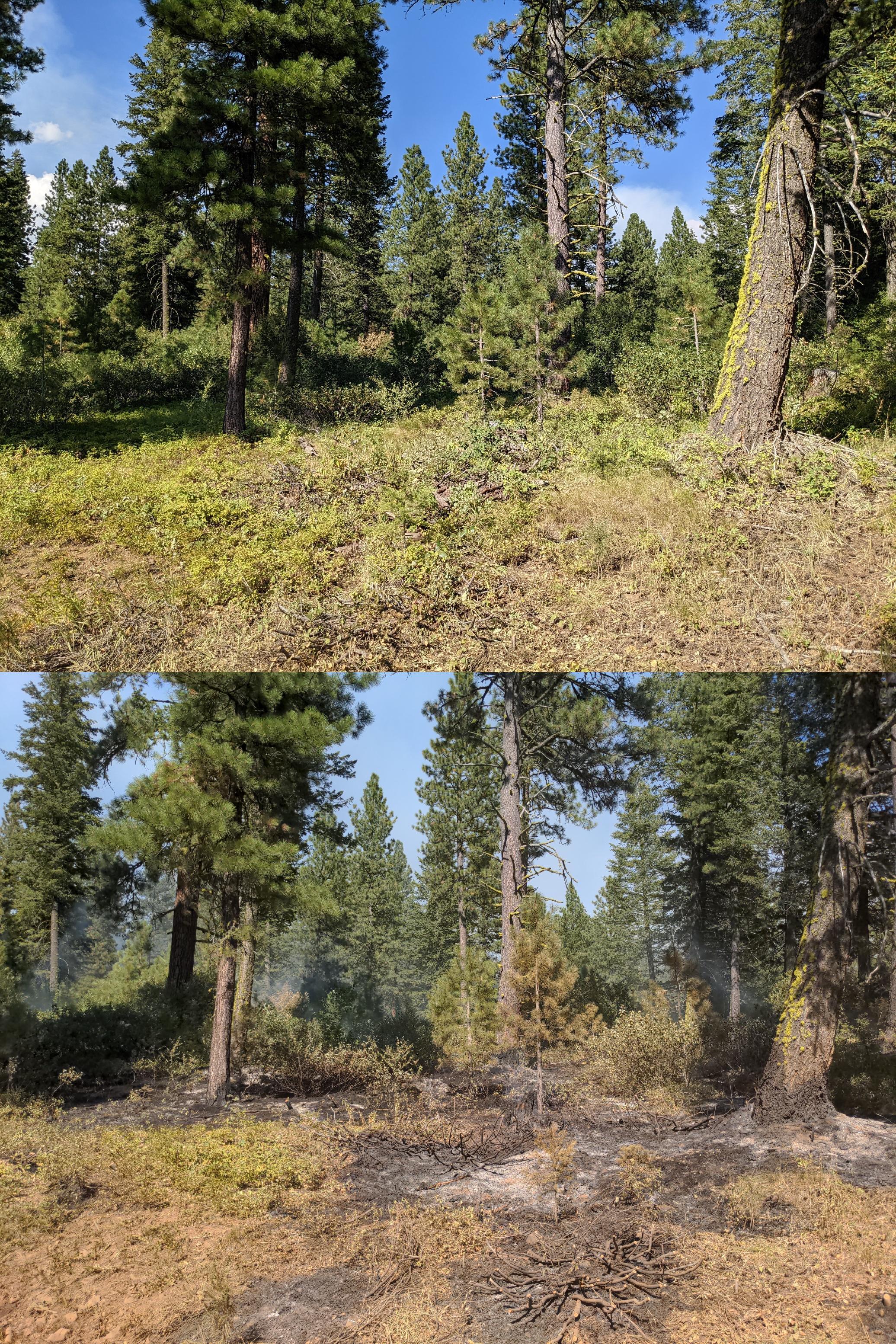 Two photos of area showing the effects of burnout operations.