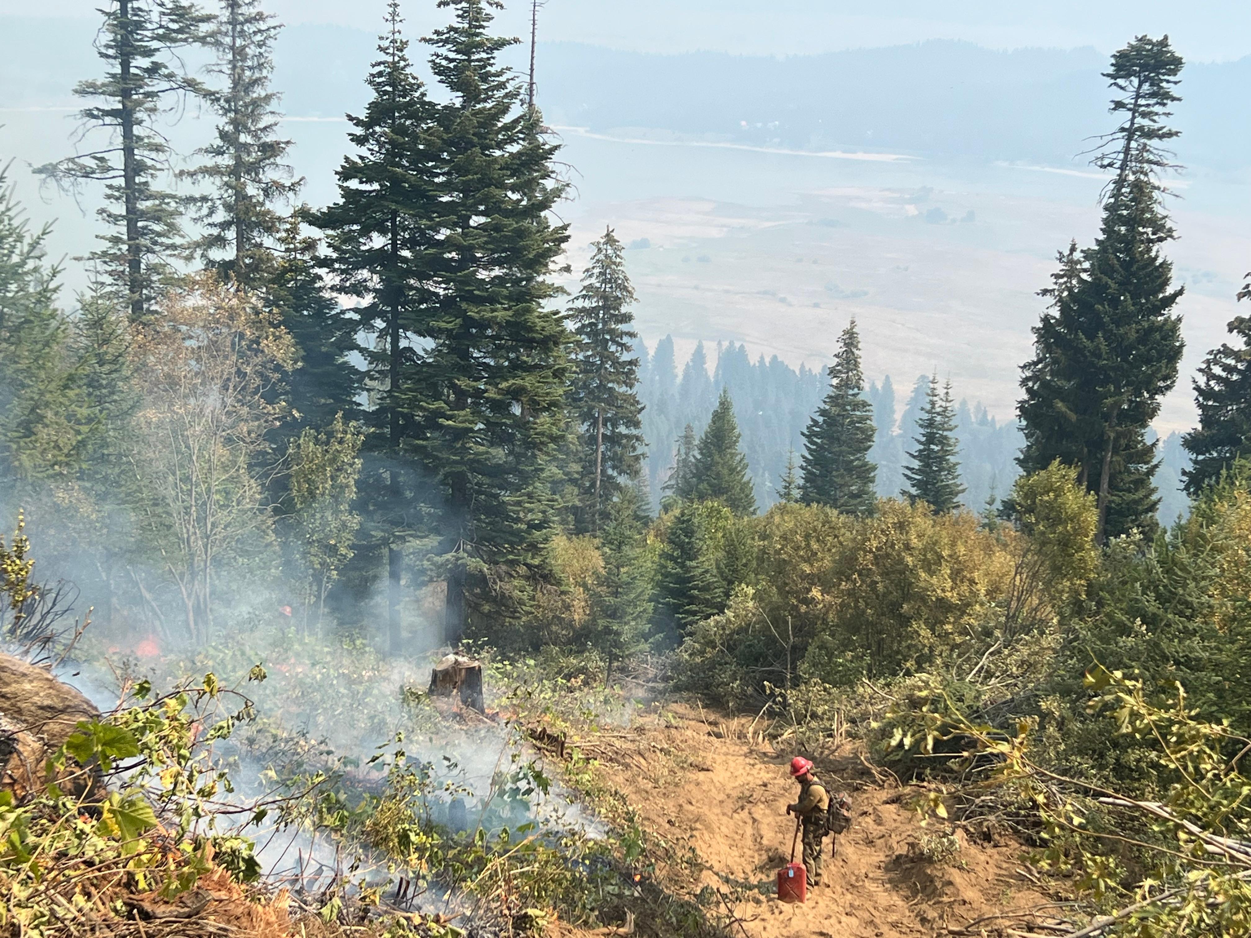 Mormon Lake Hot Shot crew member watches back fire along improved handline in Willow Creek Area.