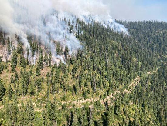 The SE side of the Margaret Fire seen backing down toward FS Road 895E at approx. 1215 on 9/6/2022