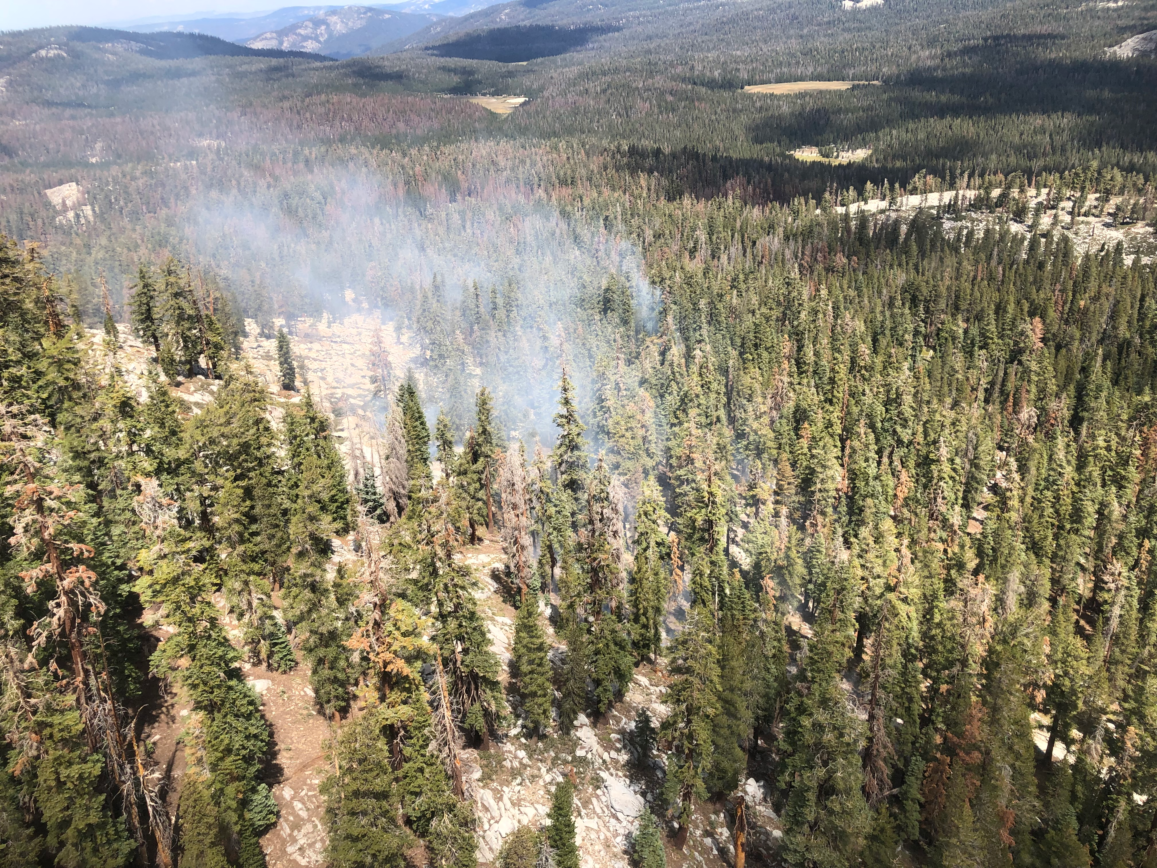 A plume of white gray smoke rises from a sparsely forested mountain landscape seen from above.