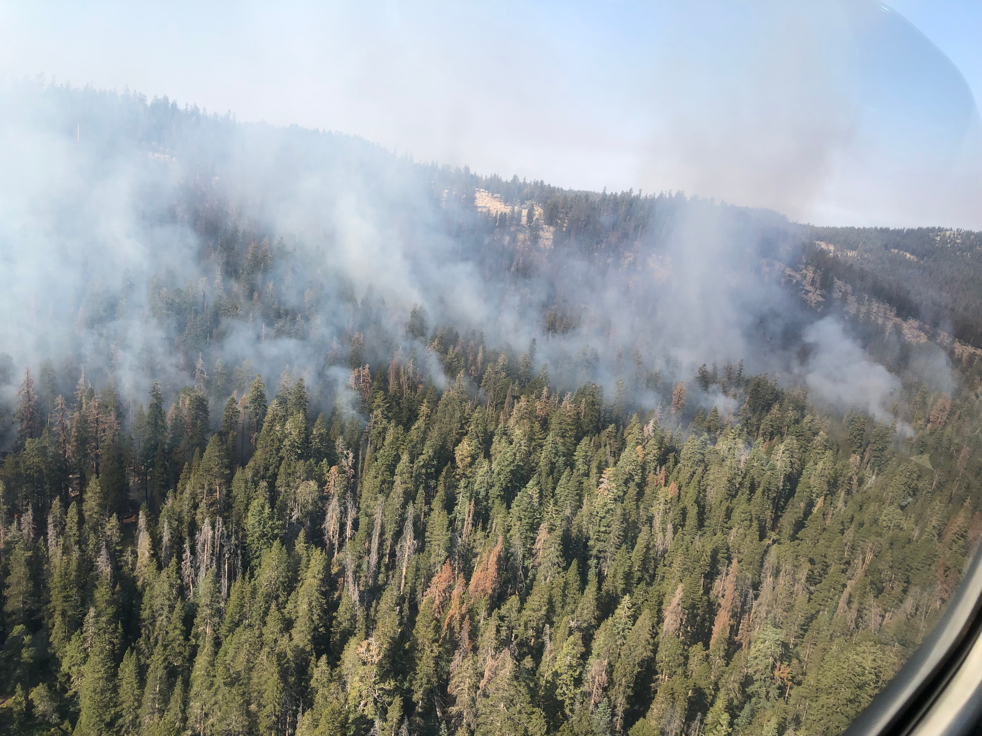 Densely forested mountainside with smoke rising out of a large area seen from above