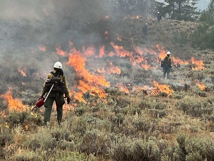 Firefighters use drip torches to burnout unburned fuel near fireline