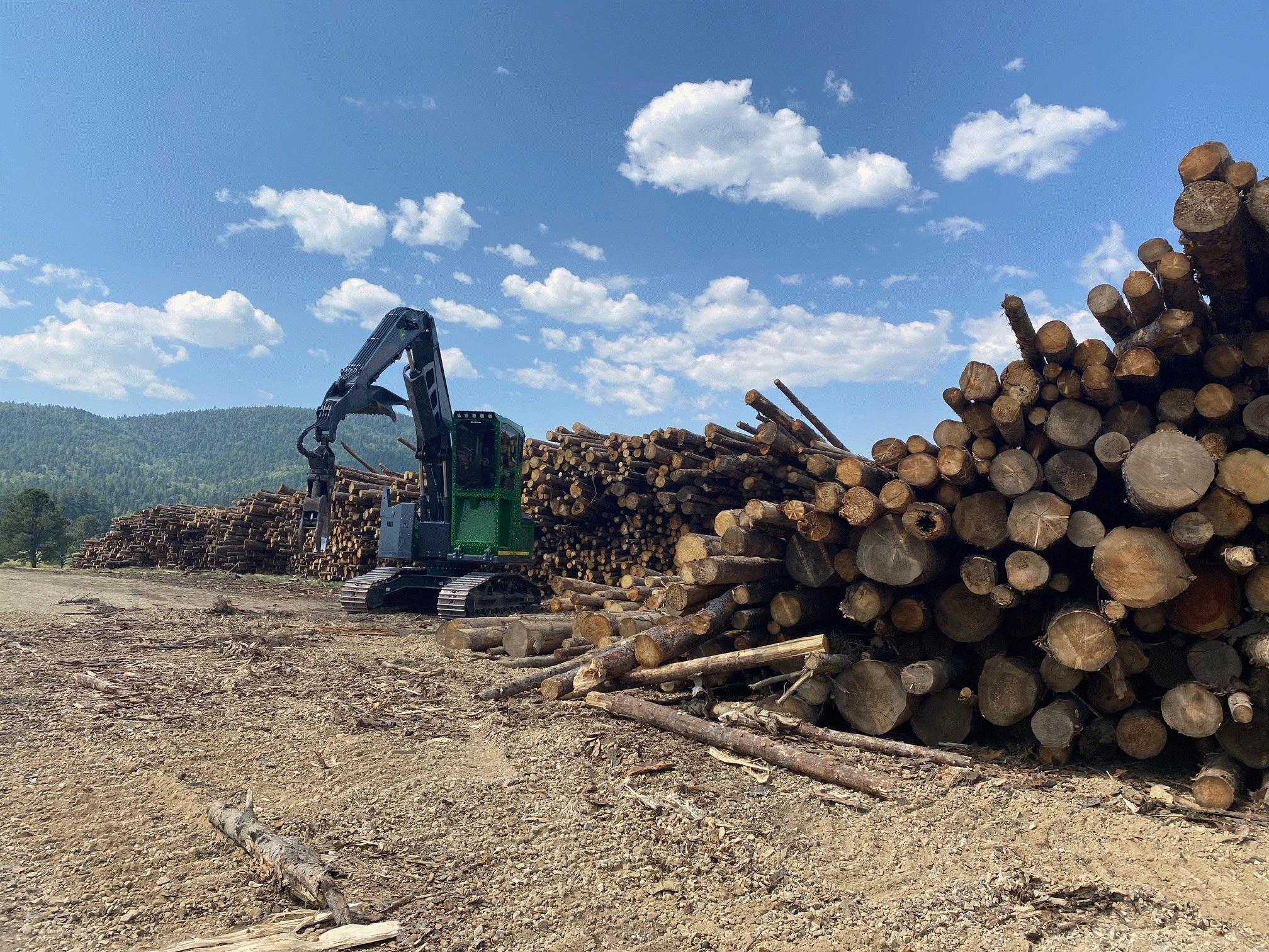 Heavy equipment known as a log loader stacks a deck of logs.