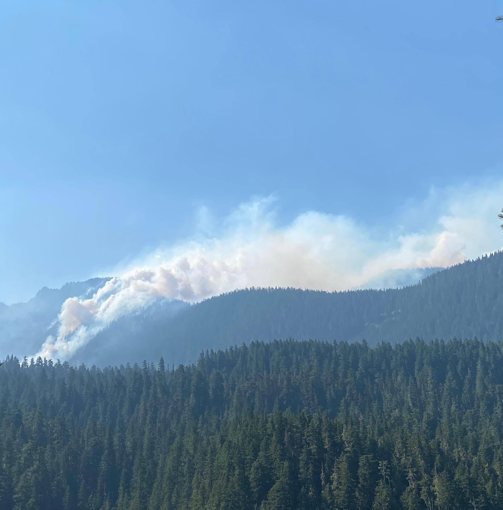 A large smoke plume runs up and over a ridgetop towards Dan creek. The smoke is white, gray, and thick and is boiling up before being blown over the ridge top. The photo is taken from across the Clear Fork of the Cowlitz River.