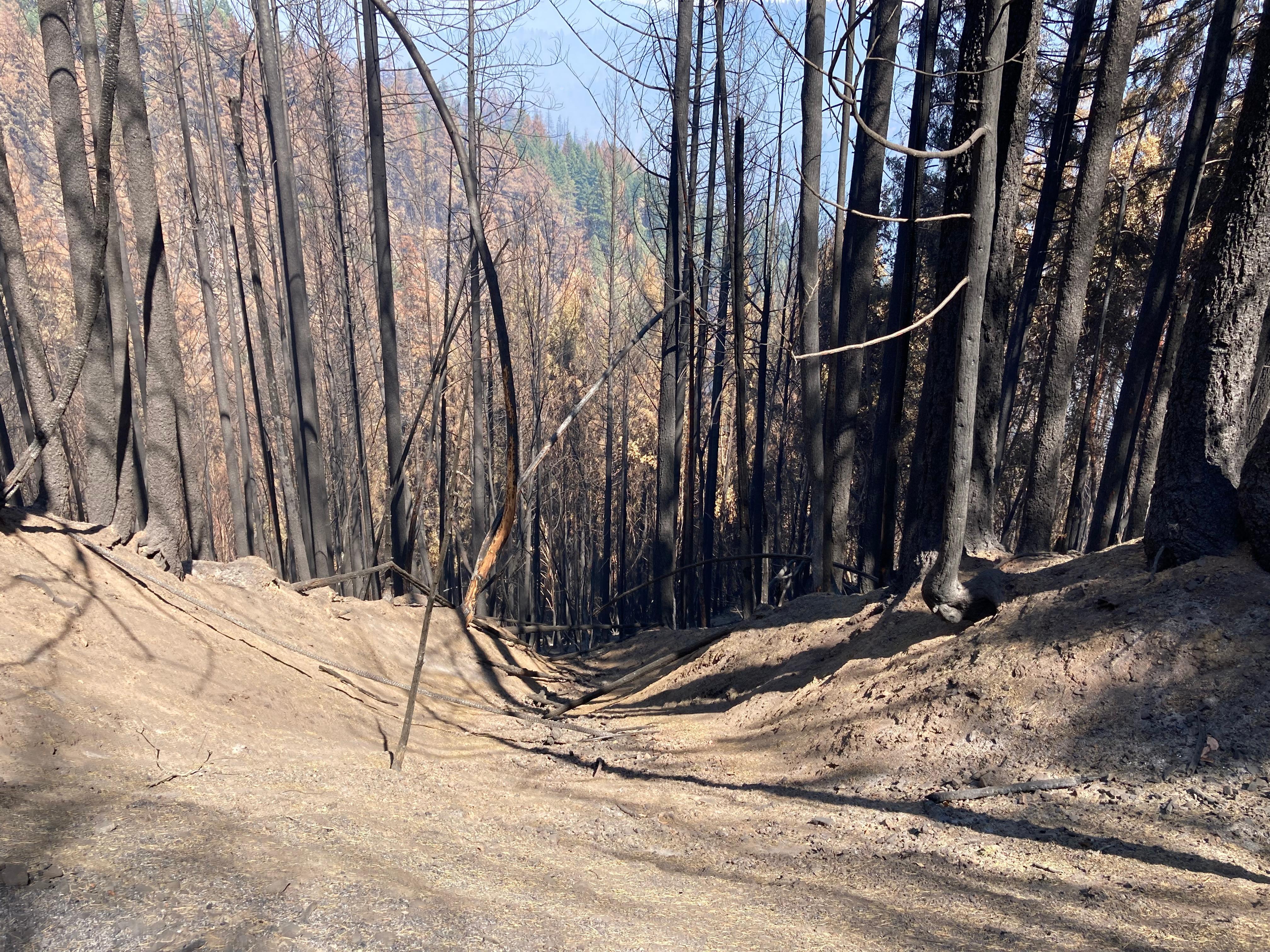 Image showing Steep High Soil Burn Severity in Ammon Fire
