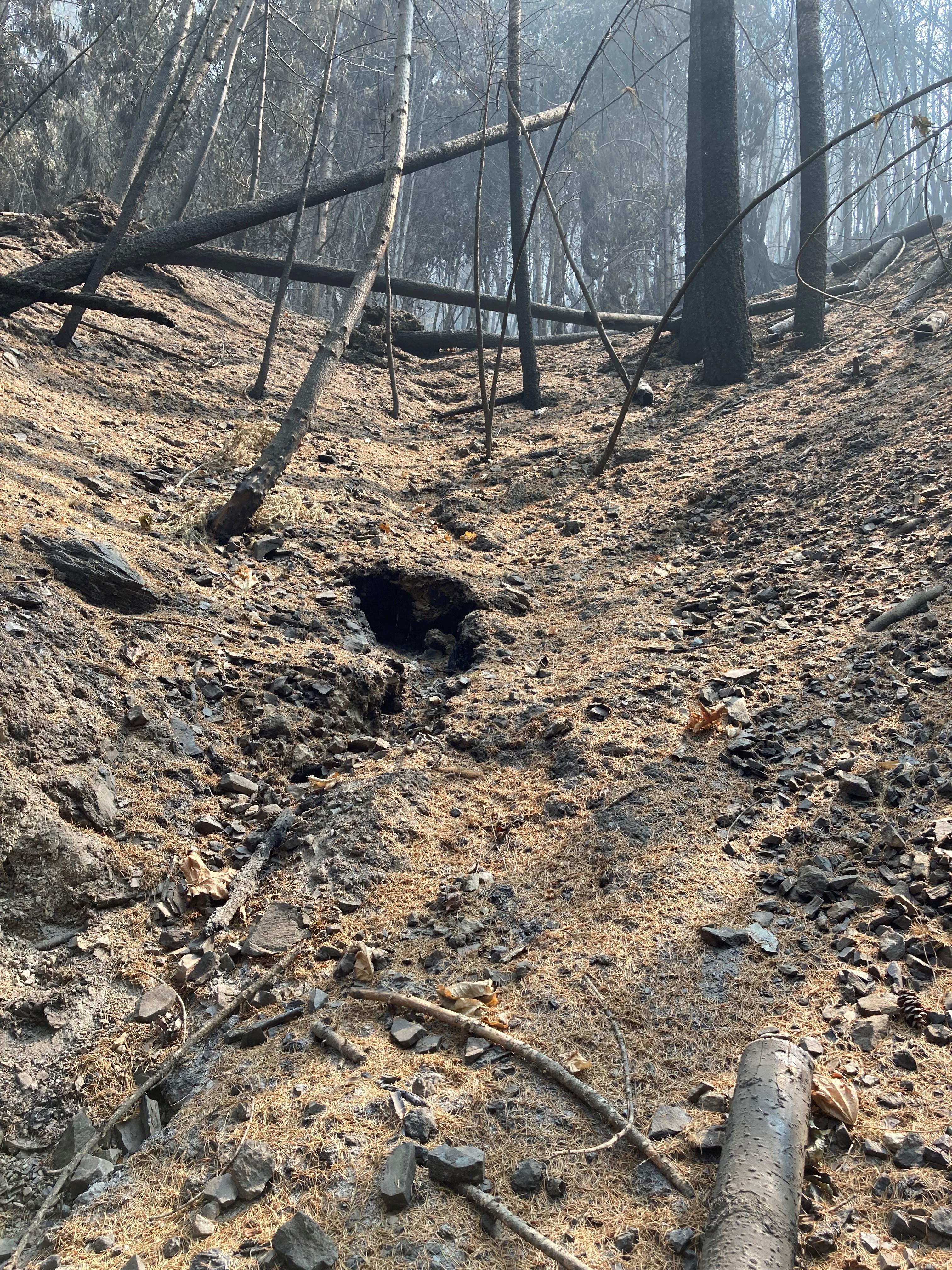 Image showing Partially buried road outlet in Ammon Fire Area