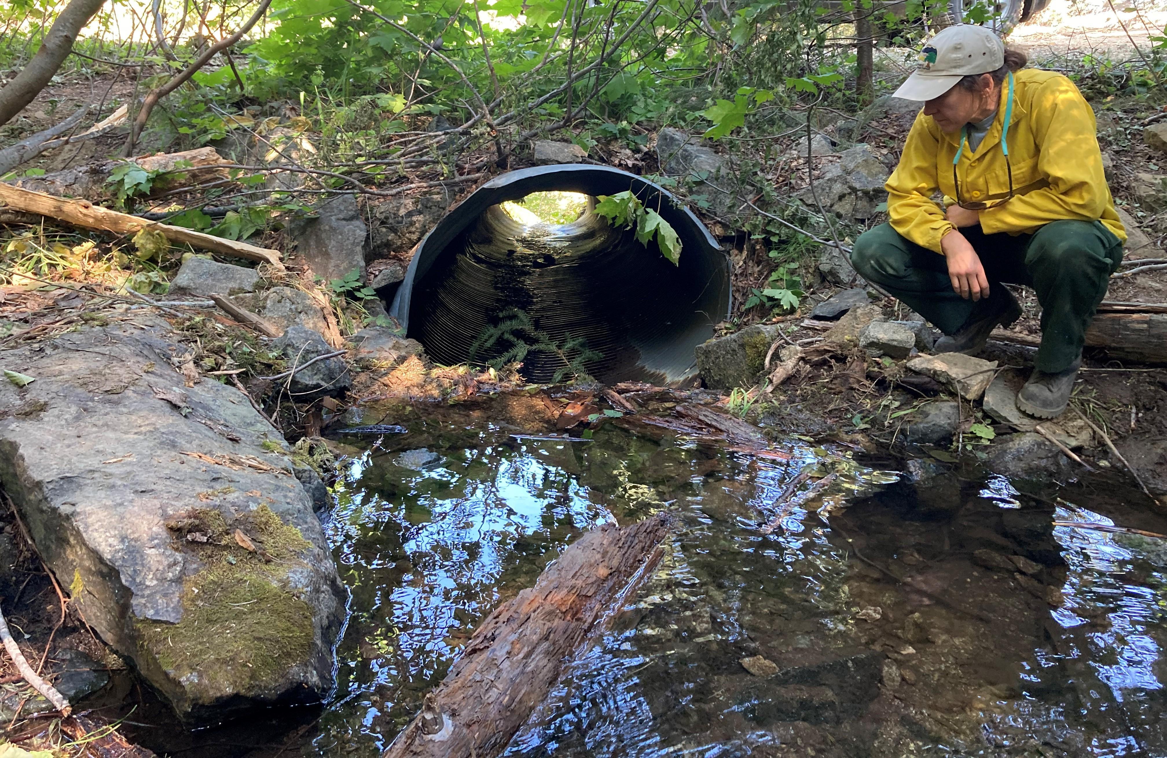 Image showing BAER Specialist Assessing Old Campbell Creek