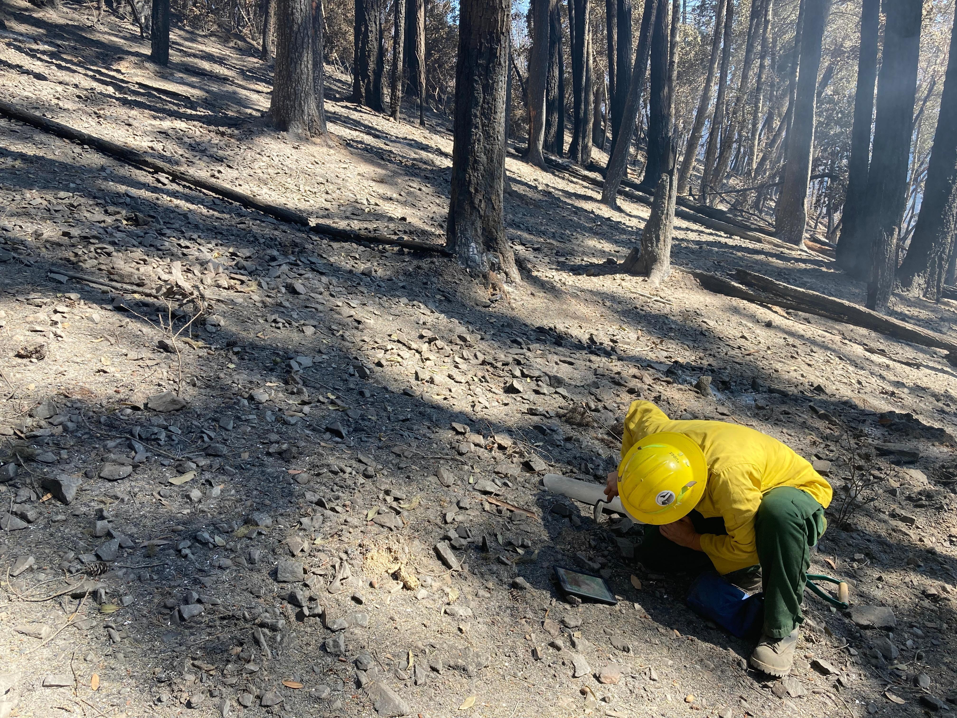Image showing BAER Hydrologist Emily Fudge assesses soil hydrophobicity (water repellency), changes to soil structure, and maps the evaluated soil burn severity (SBS) in Hawkins Creek burned drainage located in the Campbell burned area.