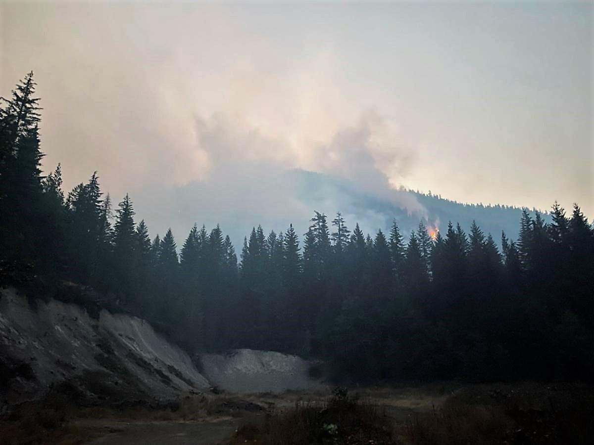 Fire burns over smoky pines on the Gifford Pinchot National Forest.