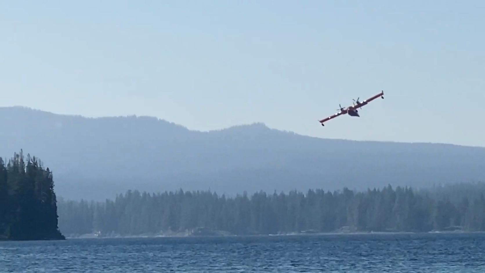 A large yellow aircraft is taking off from a Lake surrounded by a mixed conifer forest
