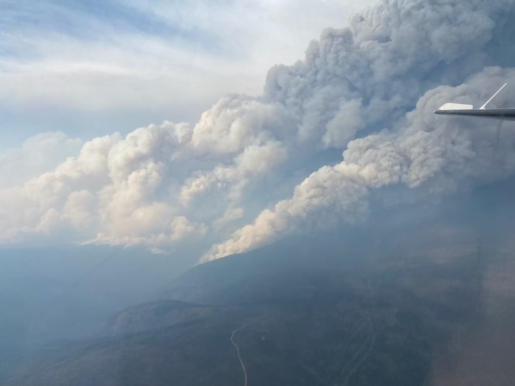 Smoke billowing from the Williams Creek Fire, as seen from above