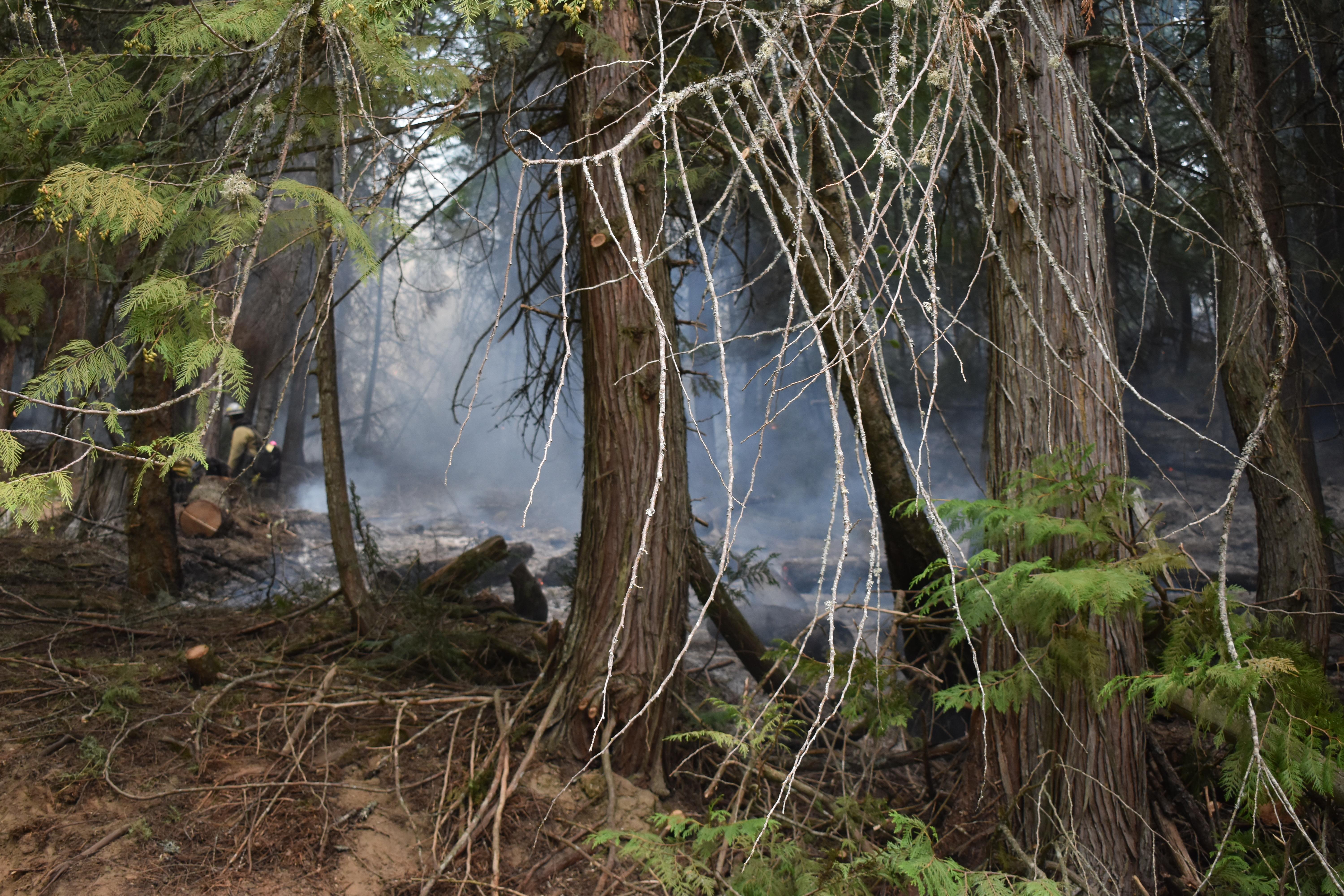 Firefighter working on the fireline. Fire is smoldering in the background behind the trees.