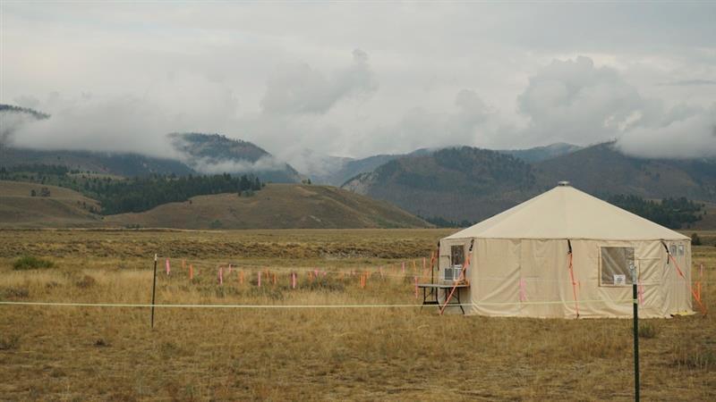 yurt and cloudy sky at icp