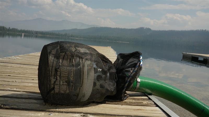 a fish screen on the end of the fill hose at alturas lake to prevent fish from entering hose