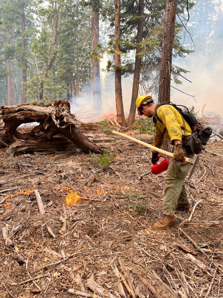 Tahoe NF Engine 333 and Augusta Hotshots conducting a defensive firing operation on fire's north side