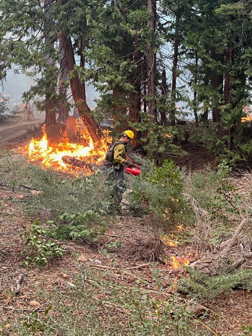 Tahoe NF Engine 333 and Augusta Hotshots conducting a defensive firing operation on fire's north side