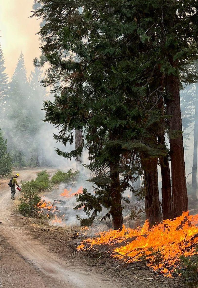 Tahoe NF Engine 333 and Augusta Hotshots from George Washington-Jefferson NF conducting a defensive firing operation on fire's north side