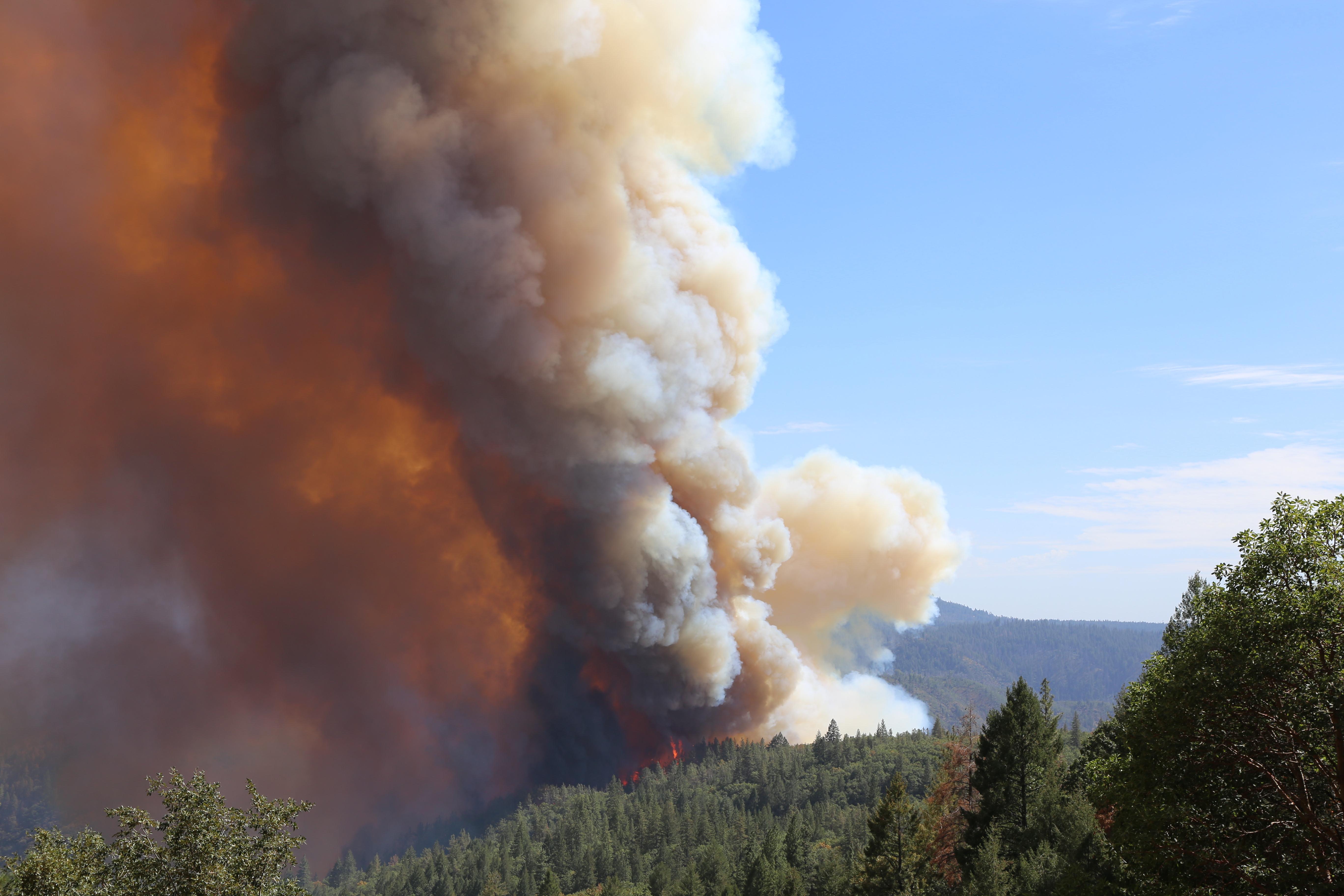 A large plume of white and black wildfire smoke against blue sky. Red flames glowing out of the tops of coniferous trees on steep mountainsides.