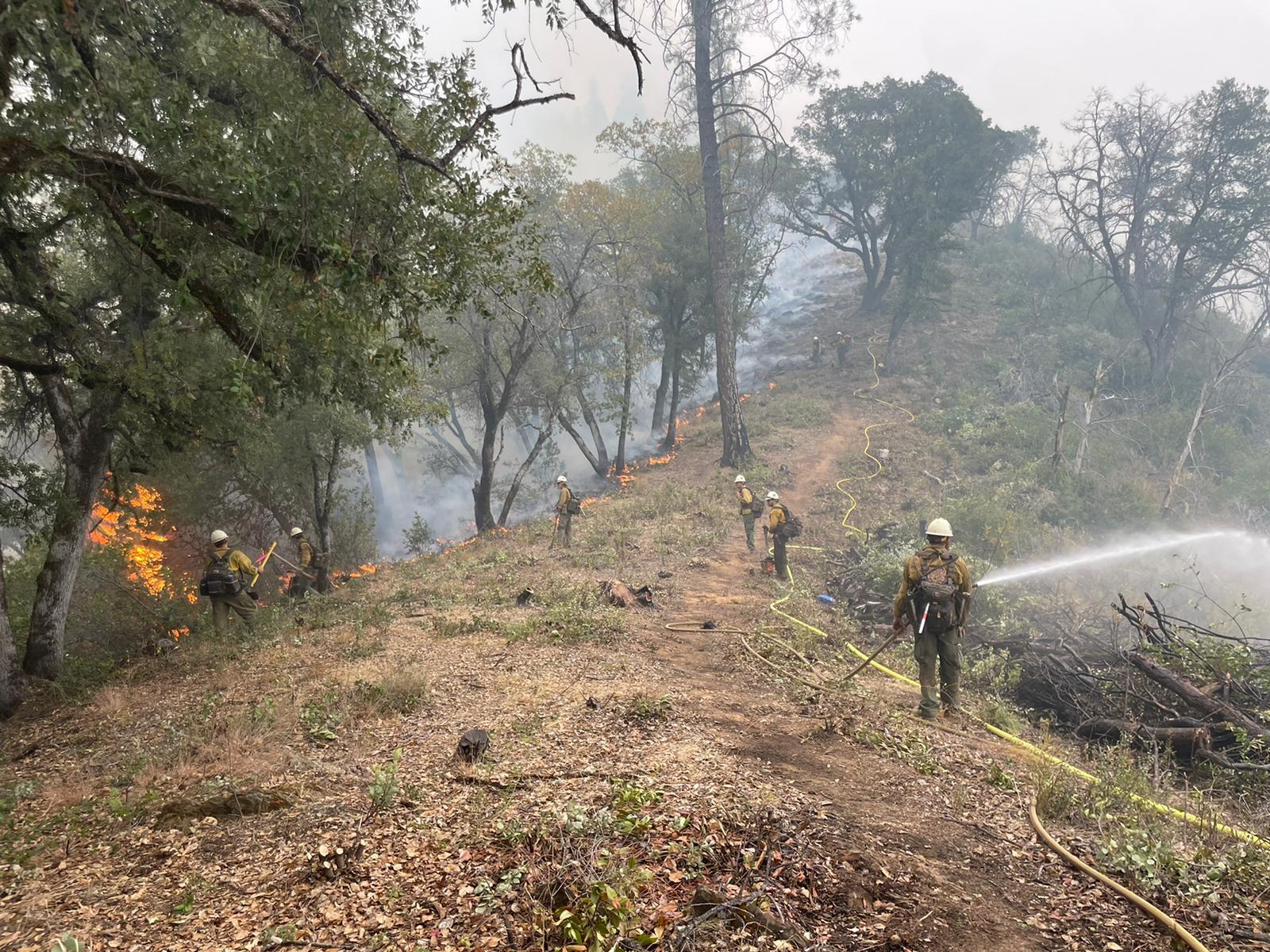 firefighters on a ridgetop cleared of vegetation, monitoring low-intensity fire, spraying water on some of the flames