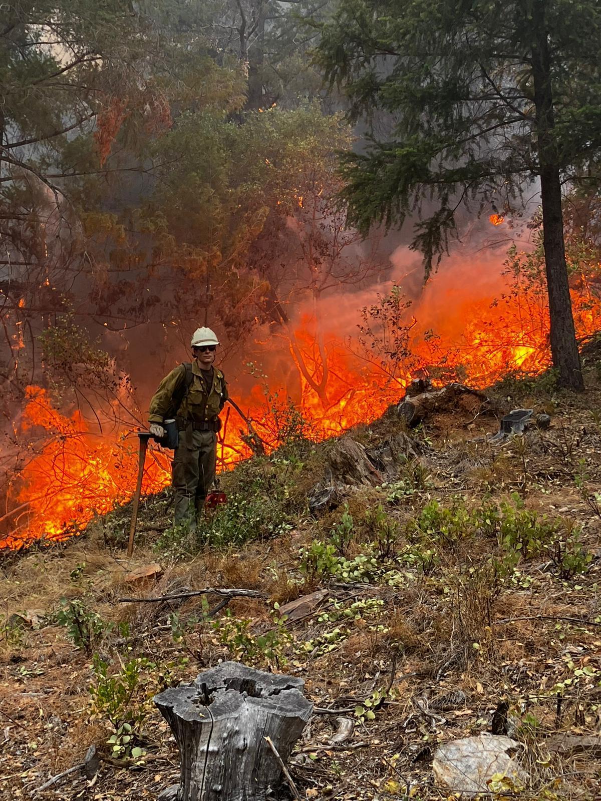 A lone male firefighter stands with his back to low-intensity flames of a firing operation, scanning vegetation on the unburned side of the fireline for spot fires, which he would then extinguish. The firing operation was conducted on Buckeye Ridge.