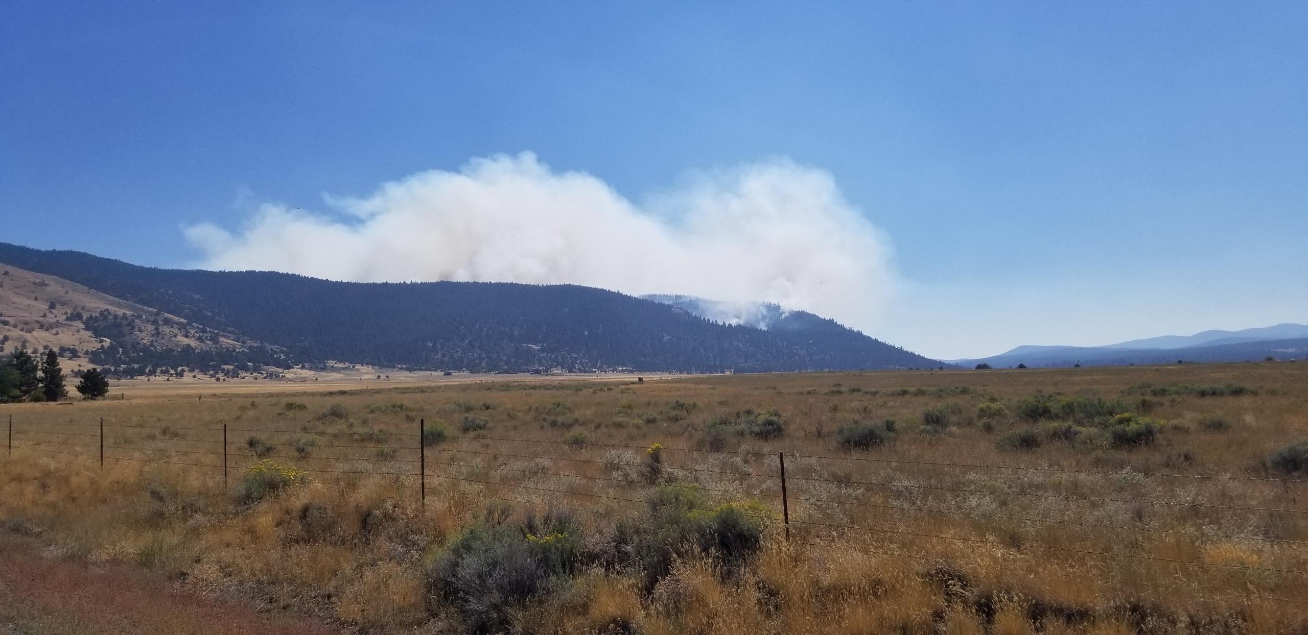 Barnes Fire Hillside Smoke 2