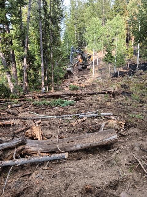 an excavator stabilzes fireline by placing logs and brush to prevent erosion