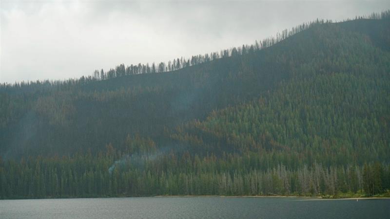 mosaic burn pattern on SE side of alturas lake 9/15 some trees burned some not