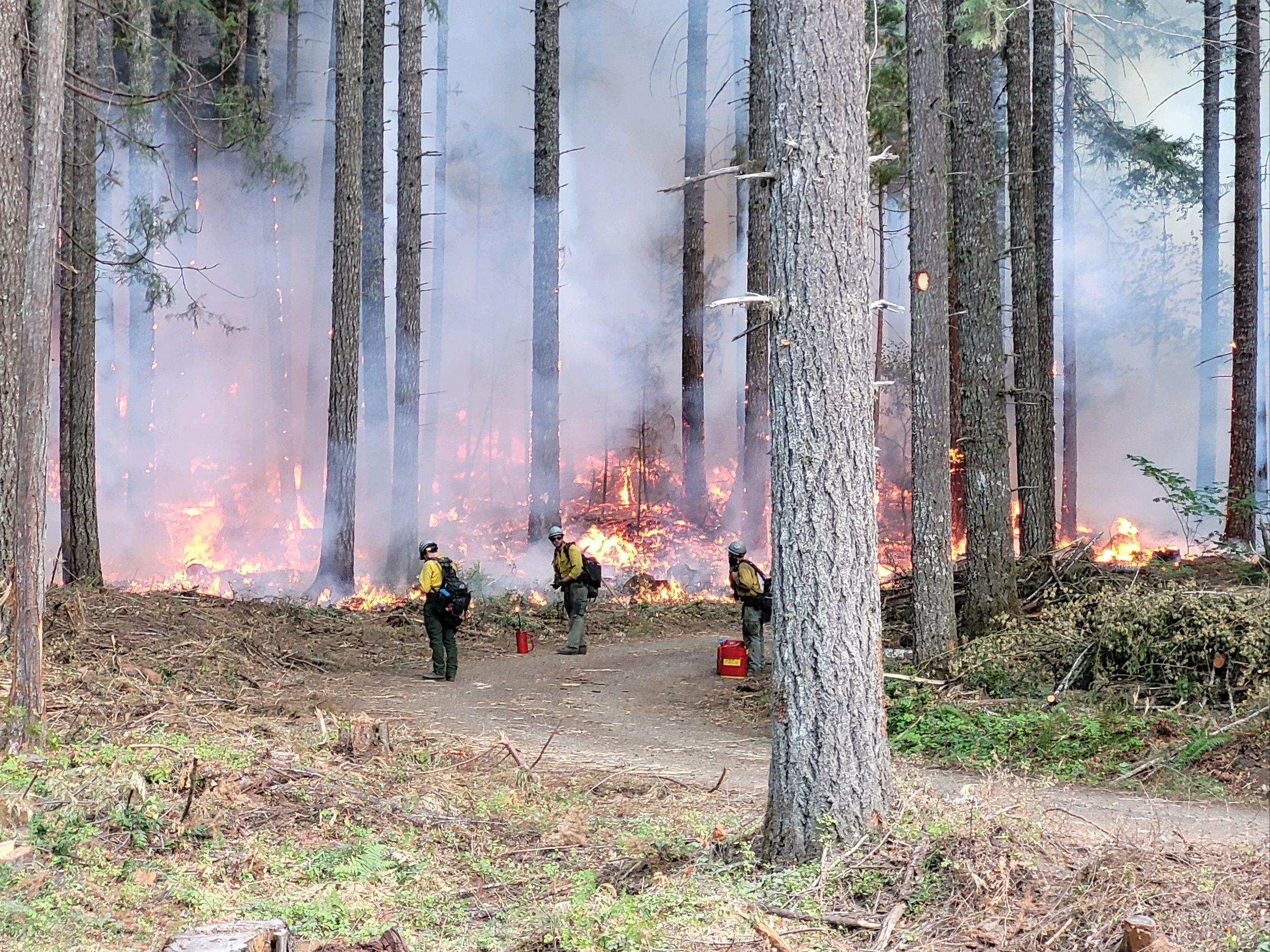 Firefighters firing from road 9/16