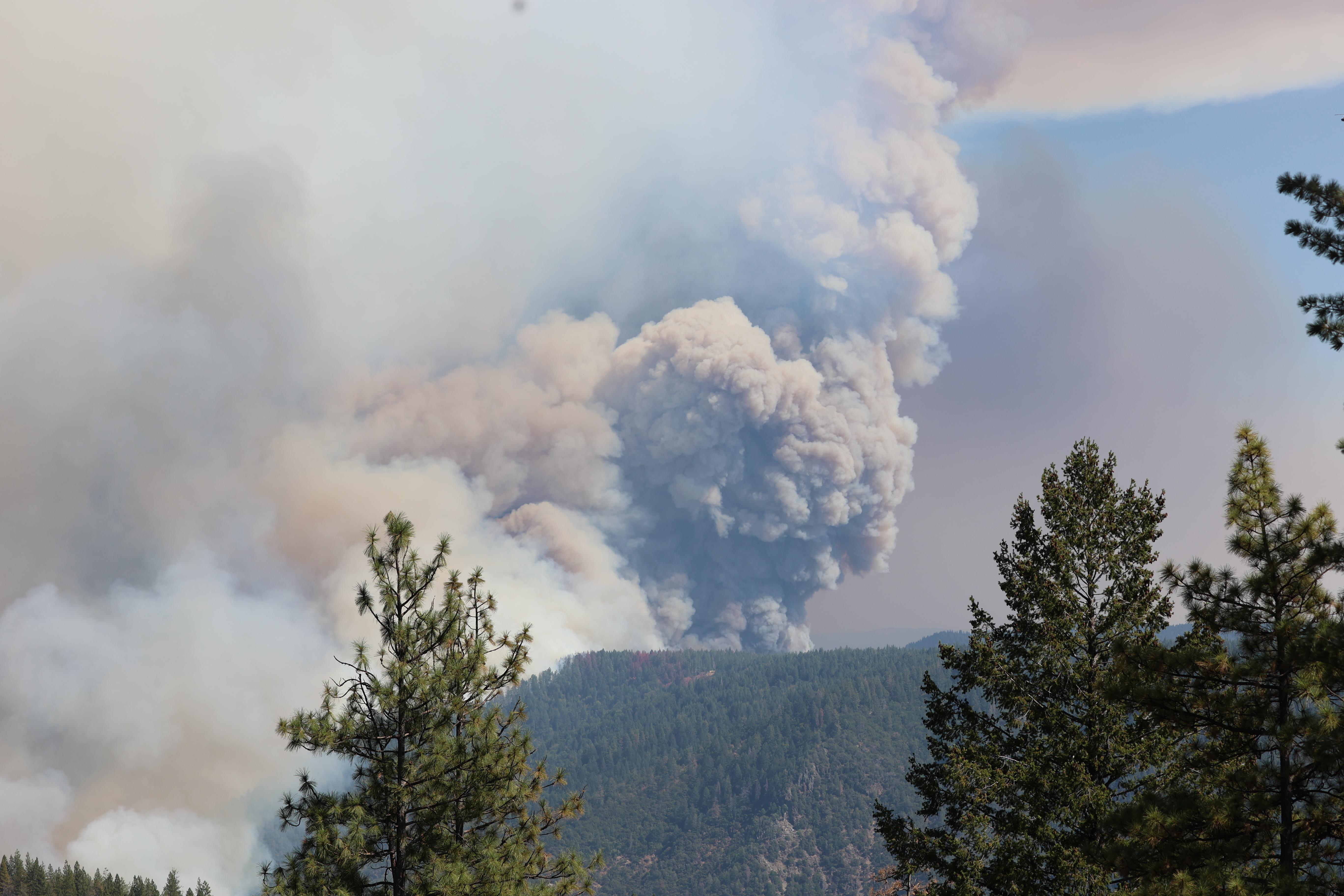large plume of white and very dark smoke coming from the fire burning in coniferous-covered mountainside