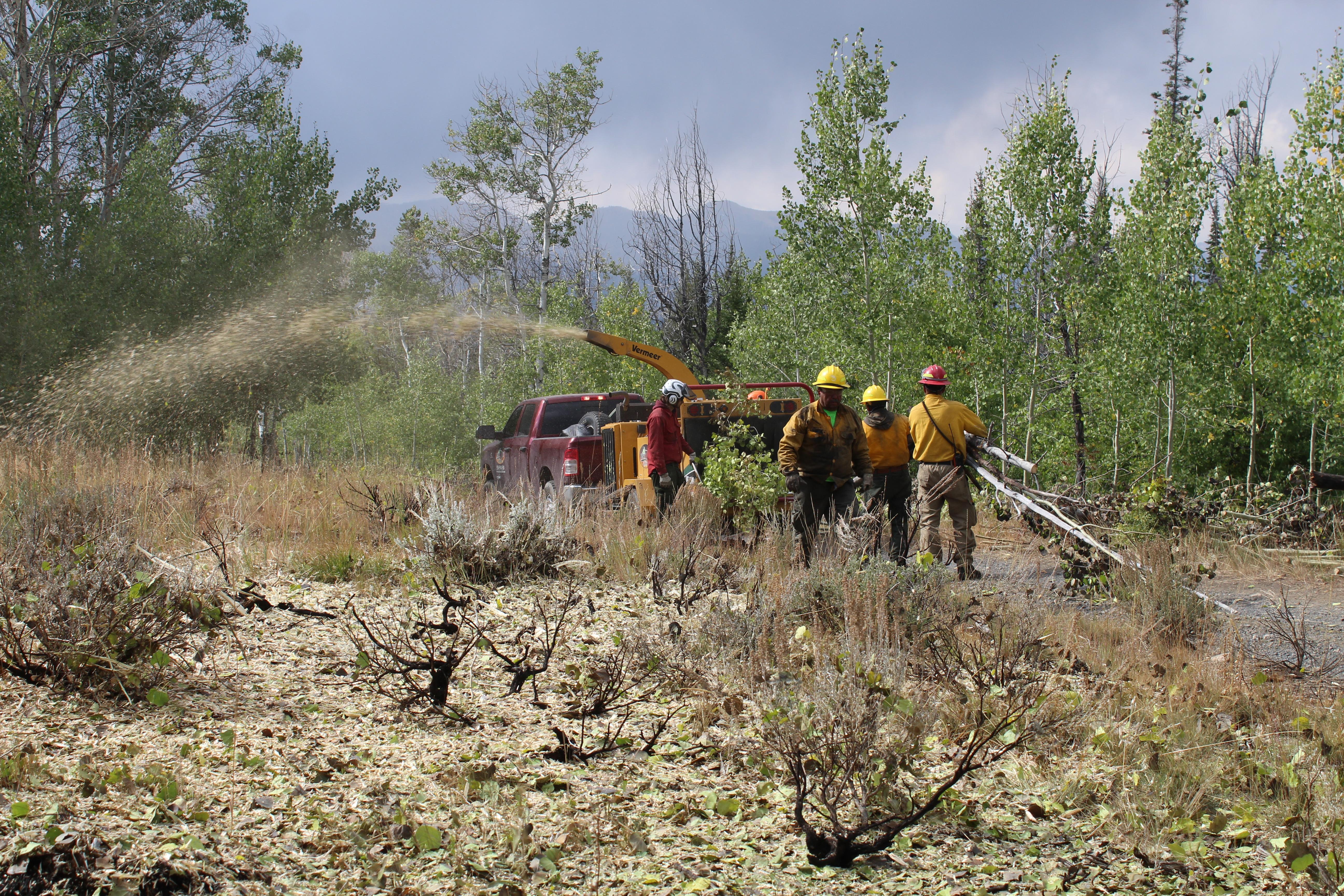 chipping crew works on east side of fire