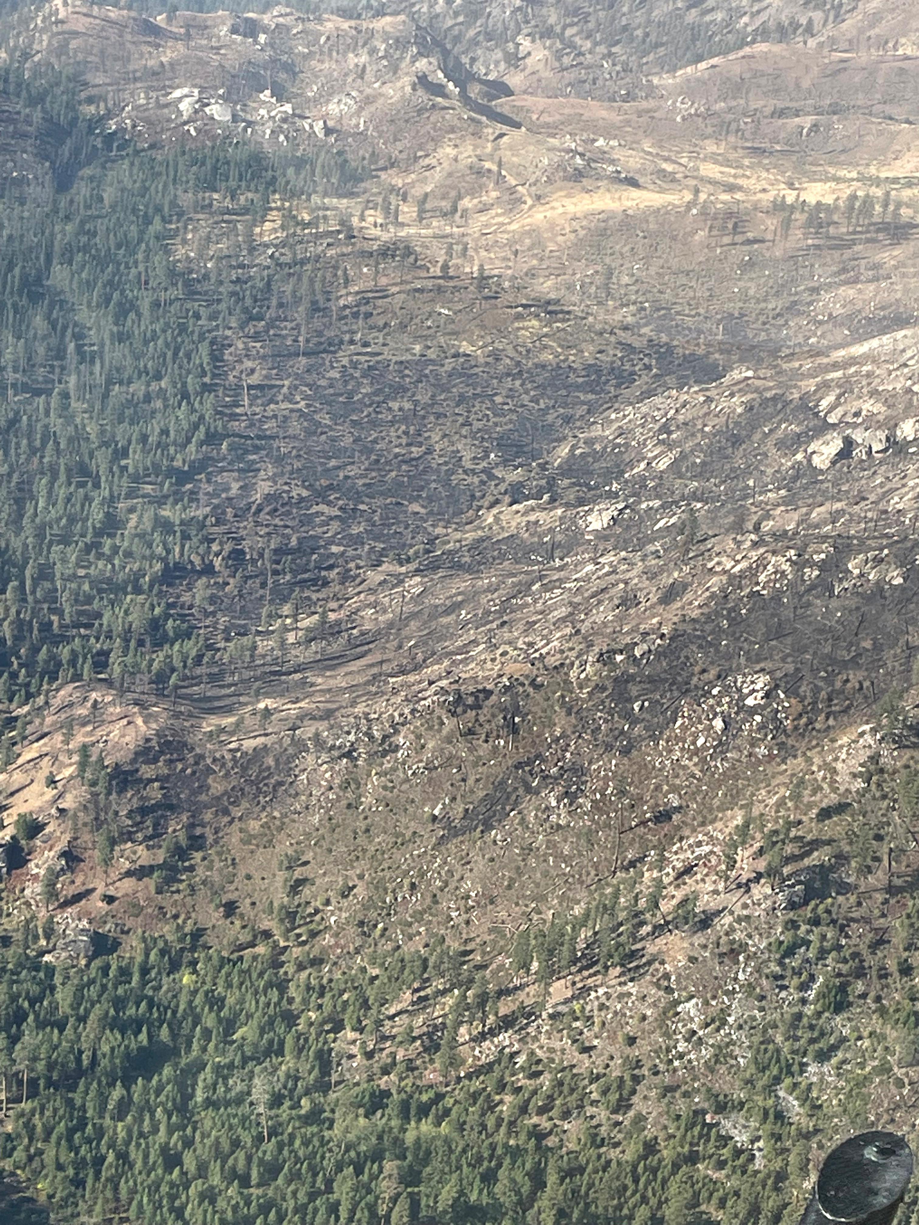 All is quiet on the Owl Fire today, as you can see from this picture taken from a helicopter this morning.