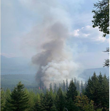 The Margaret Fire as seen looking south toward Wheeler Creek from FS Road 895E on 9/16/2022