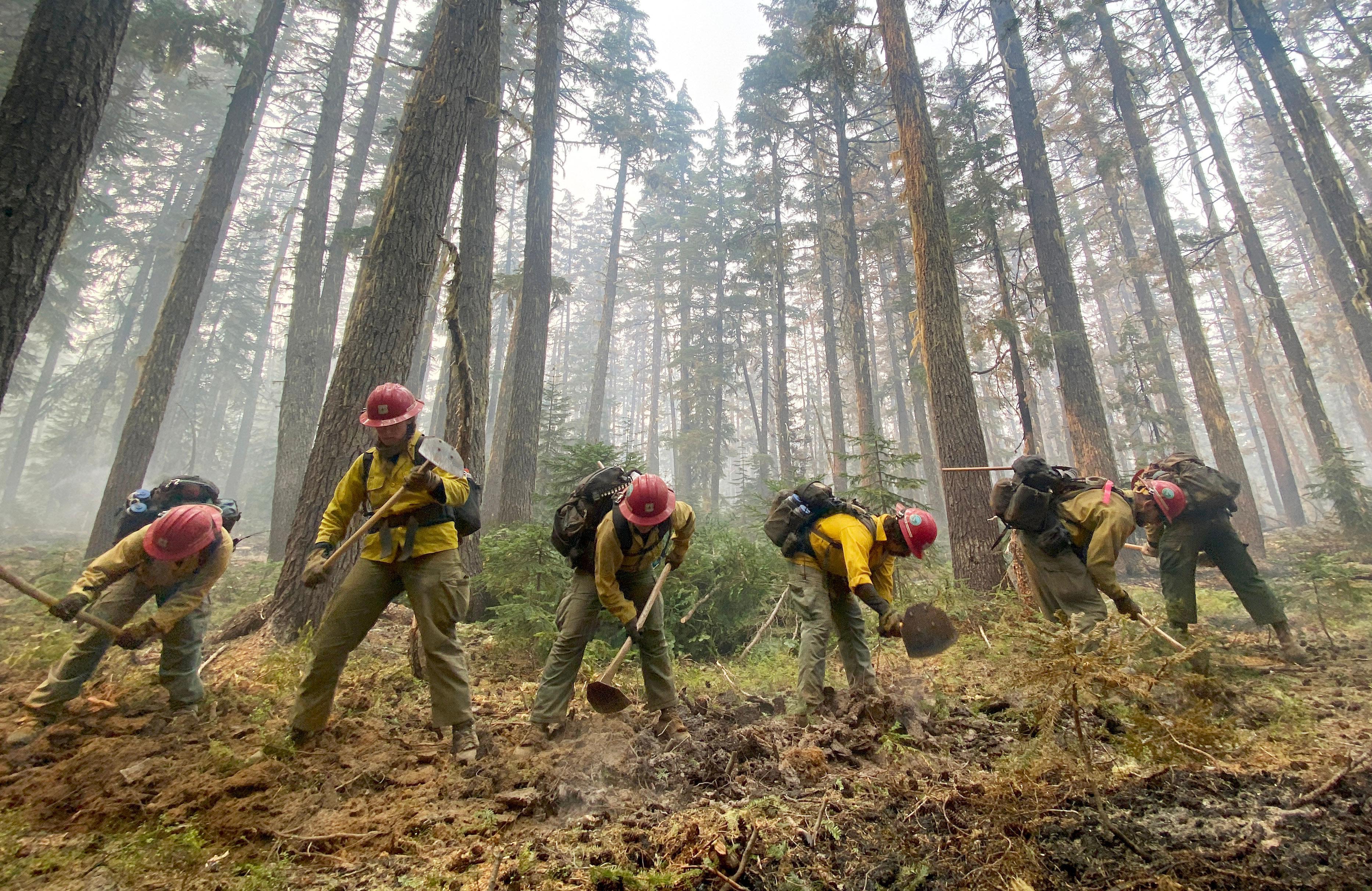 Firefighters digging direct fireline in green and yellow wildland fire personal protective equipment at the transition between burned and unburned forest.