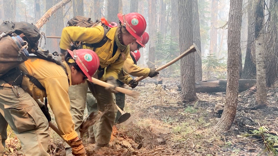 Firefighters using hand tools to dig fireline in green and yellow wildland fire personal protective equipment at the transition between burned and unburned forest.