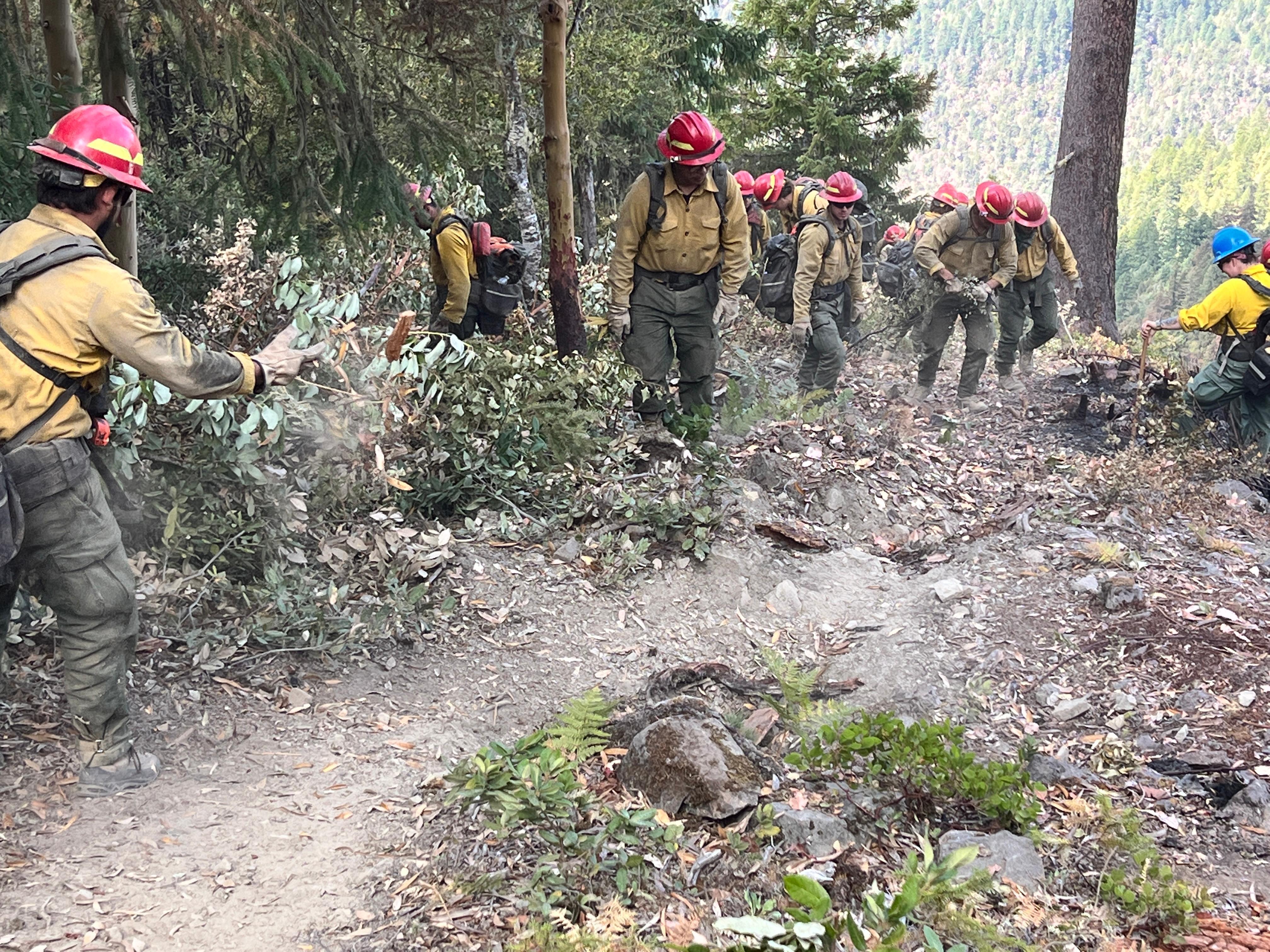 Firefighters constructing line and clearing brush