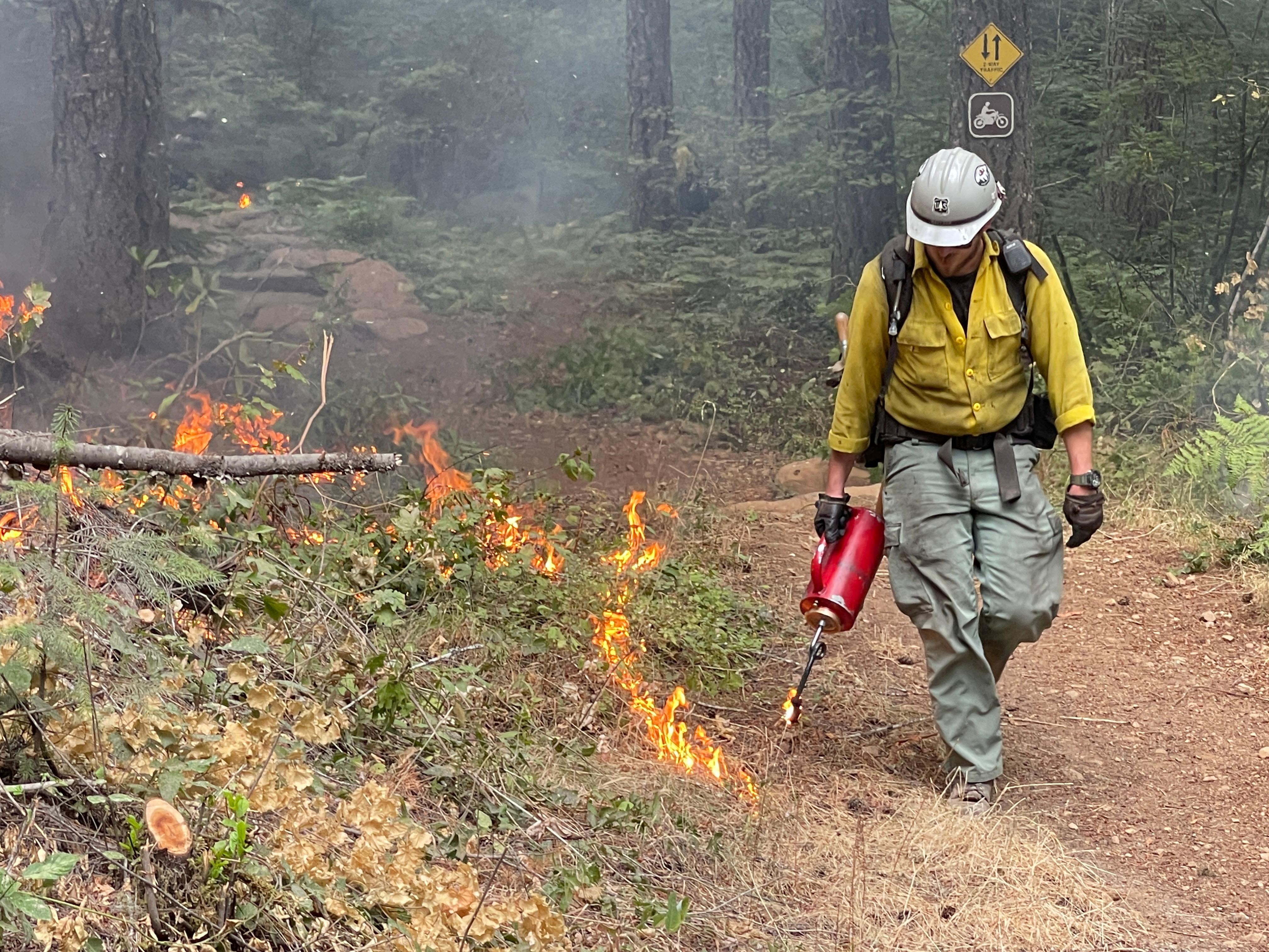 Firefighter using a drip torch to light burning operations in Division Y near Huckleberry Flat OHV area.