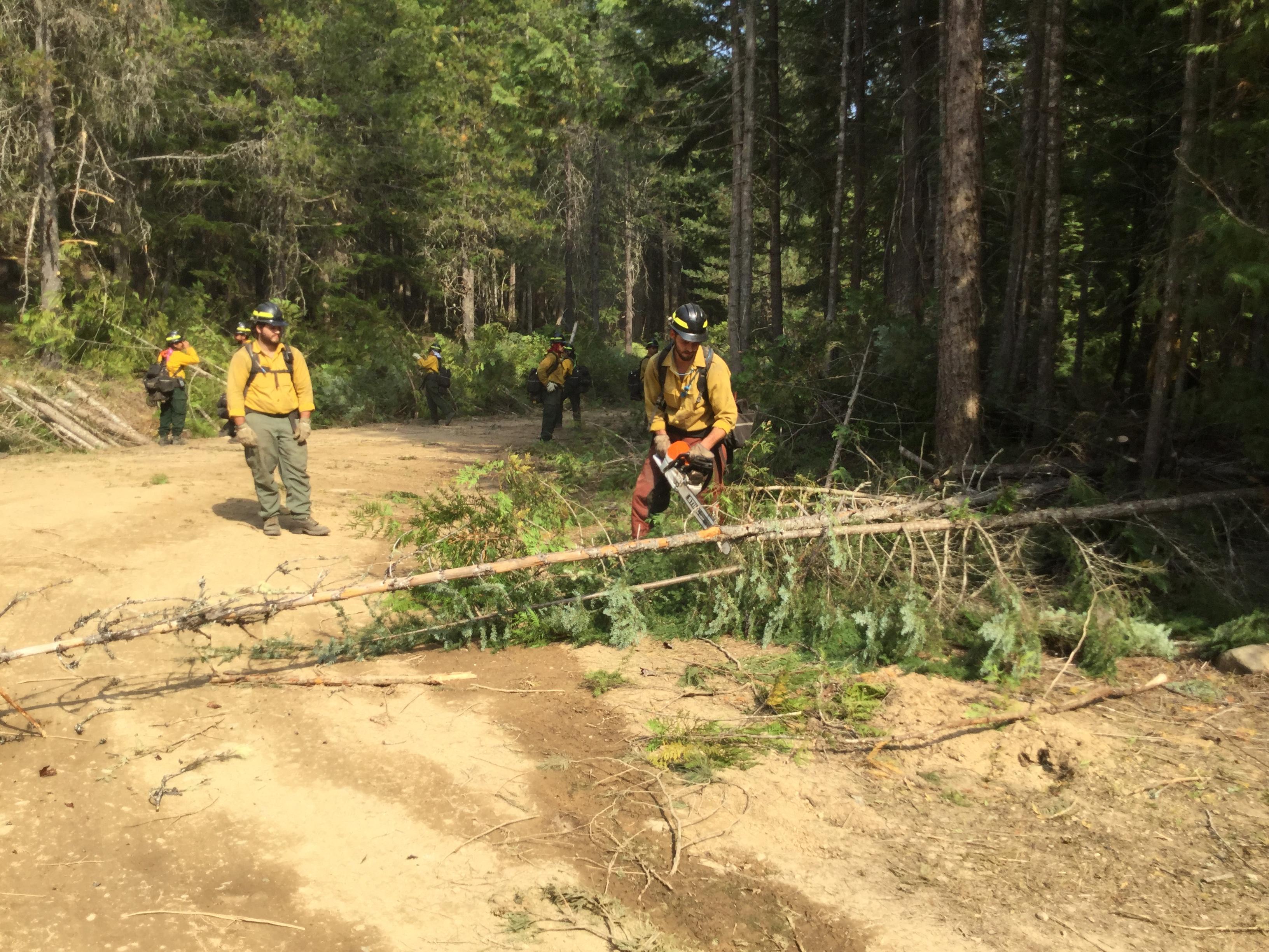North Reforestation Crew Mitigating Fuels on the Government Fire 9.17.2022 Photo: B. Giersdorf, Fire Behavior, NR Team 7