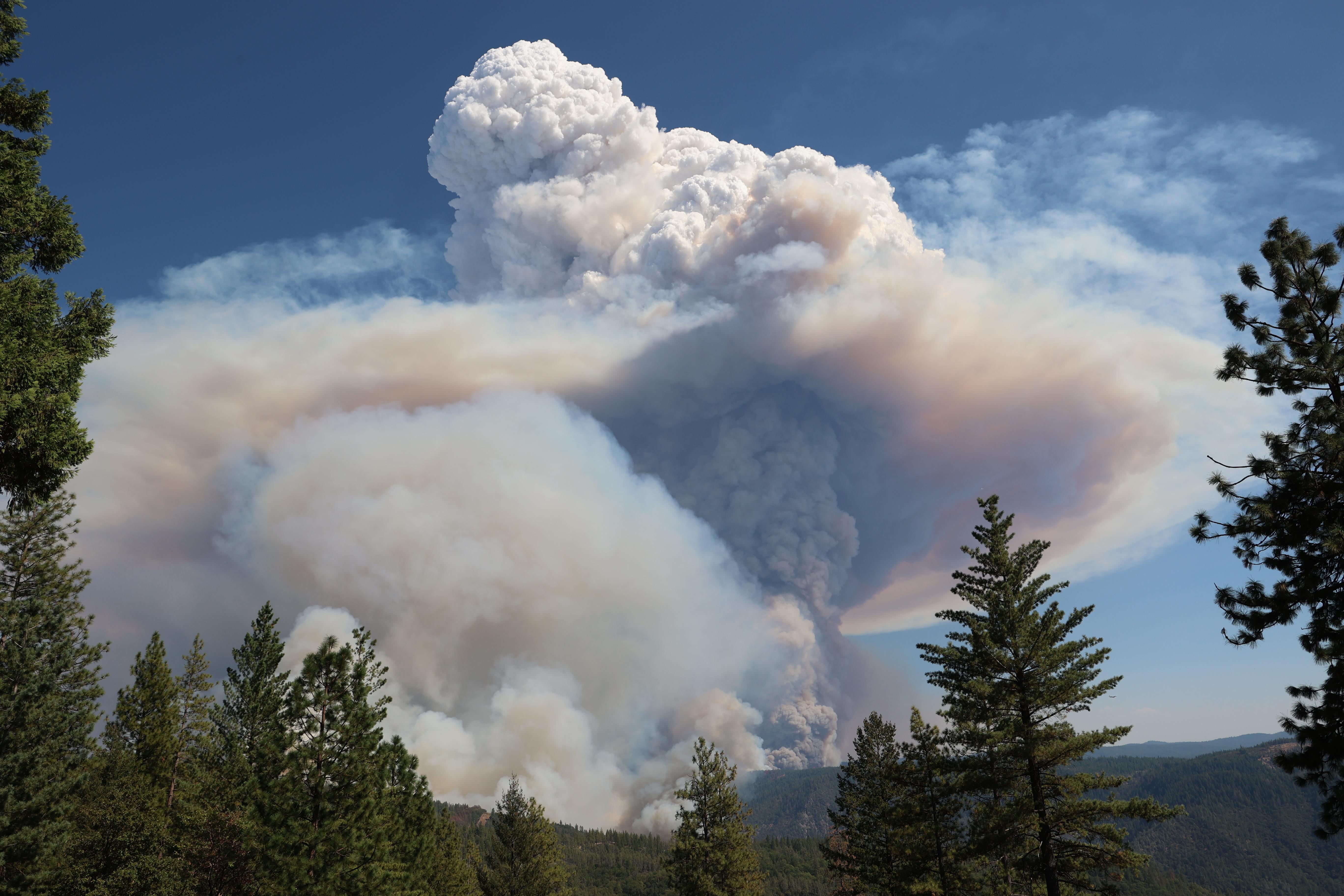 large column of smoke forms in the distance in mountainous, forested terrain