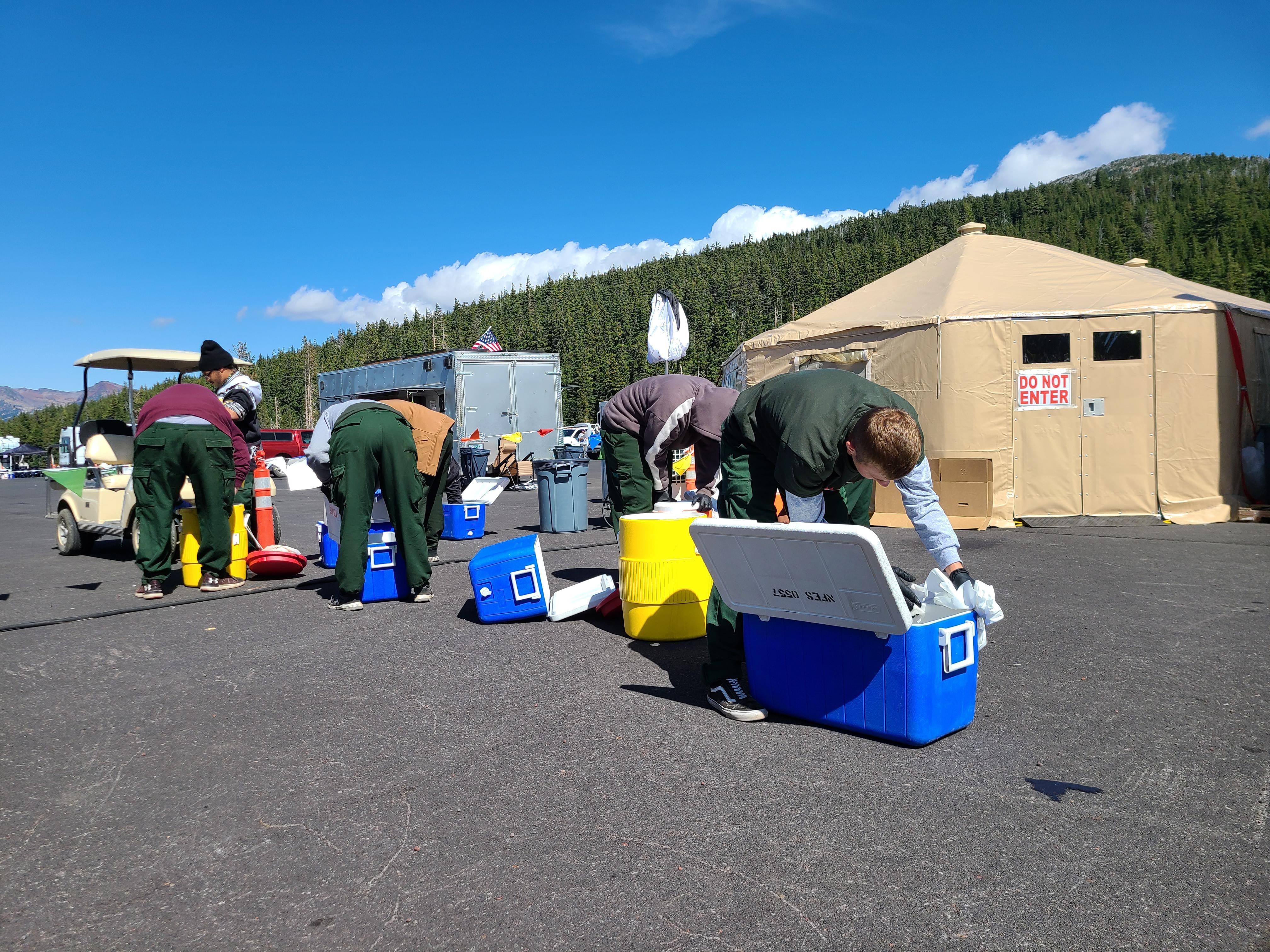 A group of people are bent over cleaning and sanitizing coolers for fire personnel.