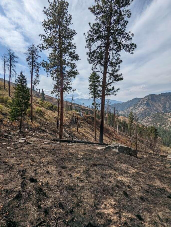 Photo of Owl Fire, 9/18